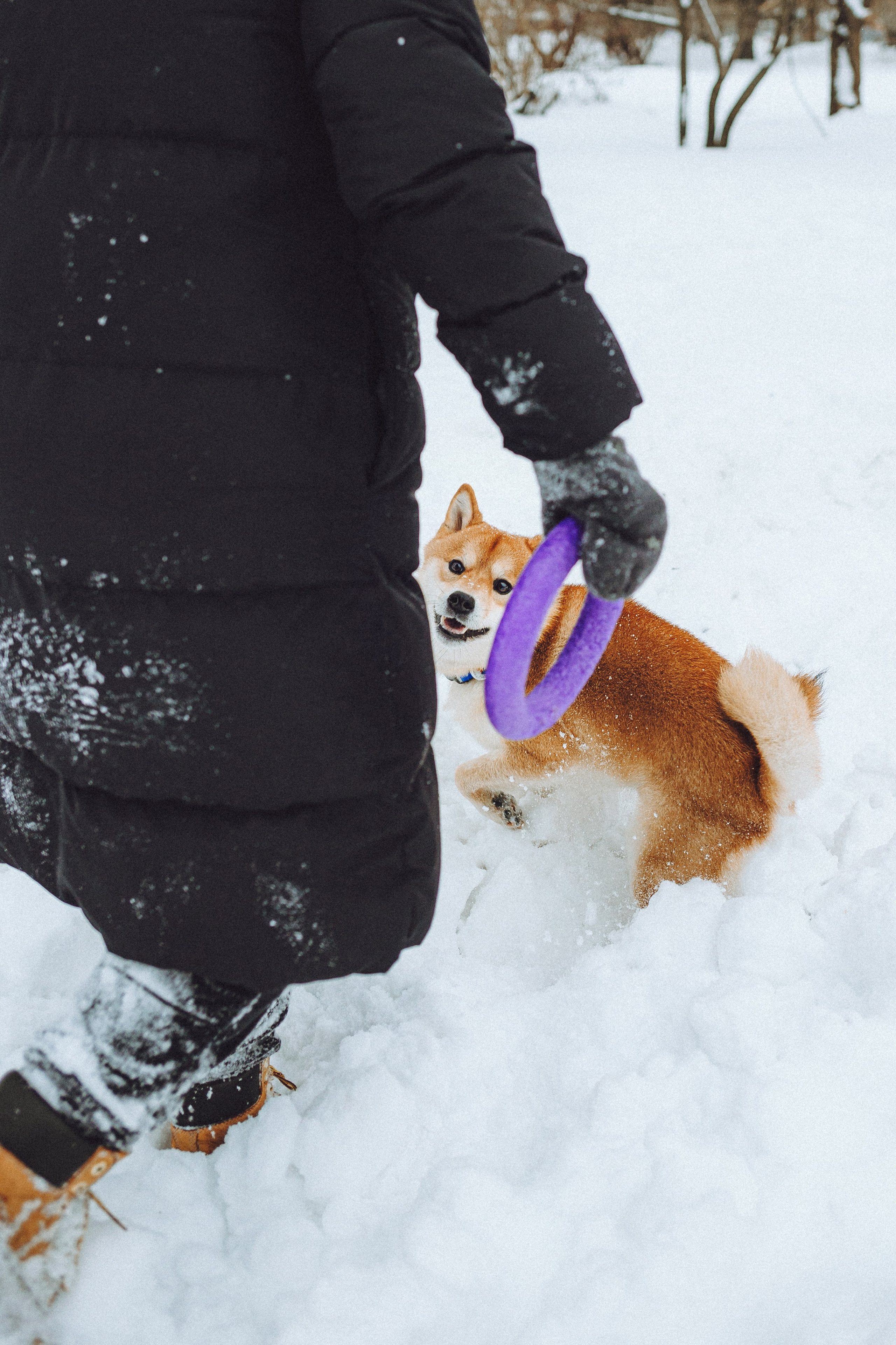 Настя и Ронин