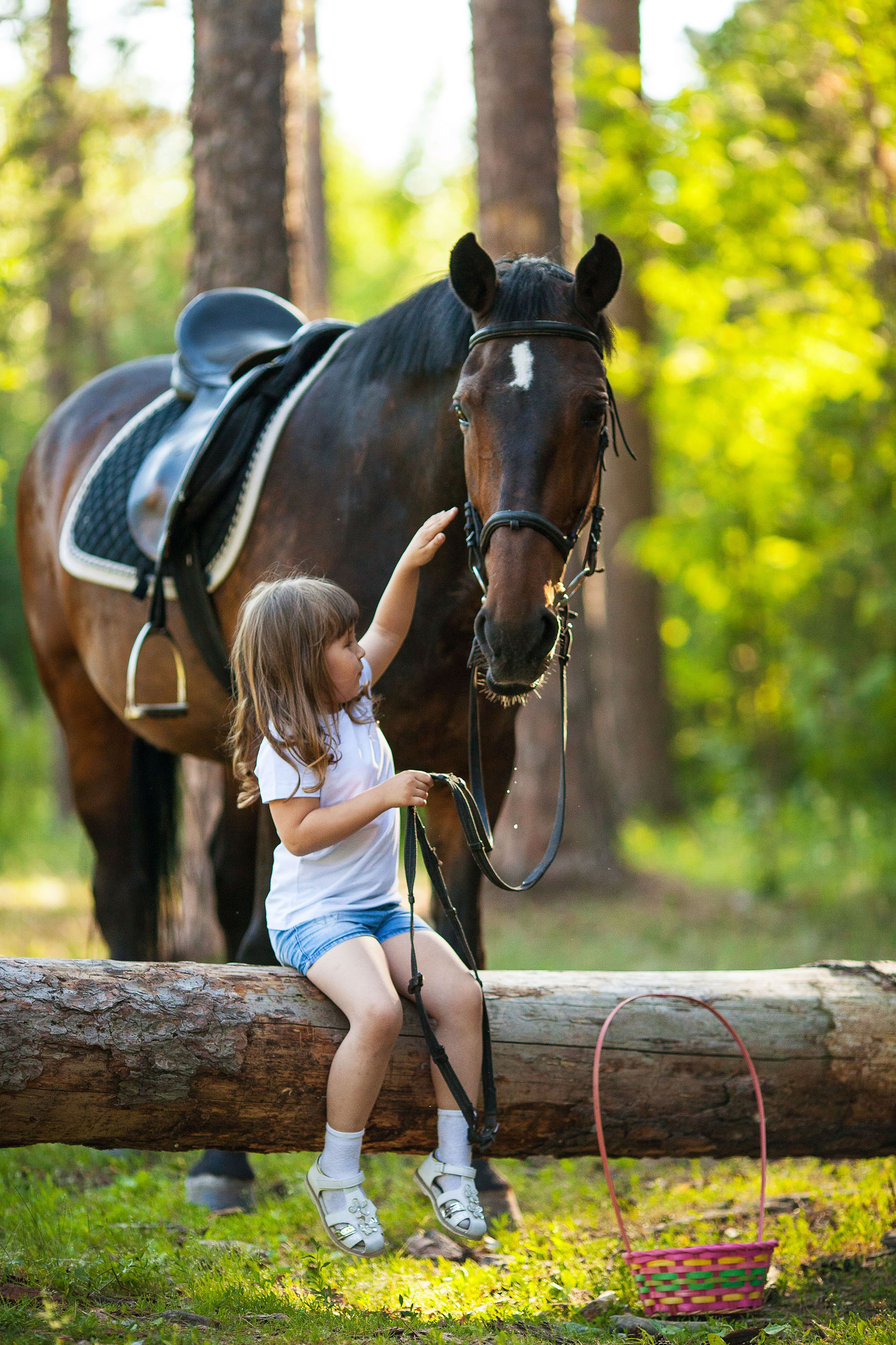 Детская съемка. Конный фотограф в Челябинске Стромова Ольга