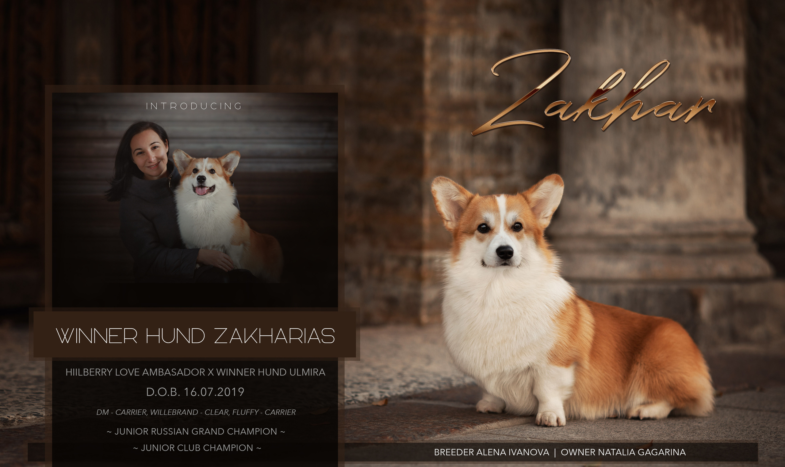 Презентации / реклама. Фотограф — анималист в Санкт — Петербурге Анна Орис