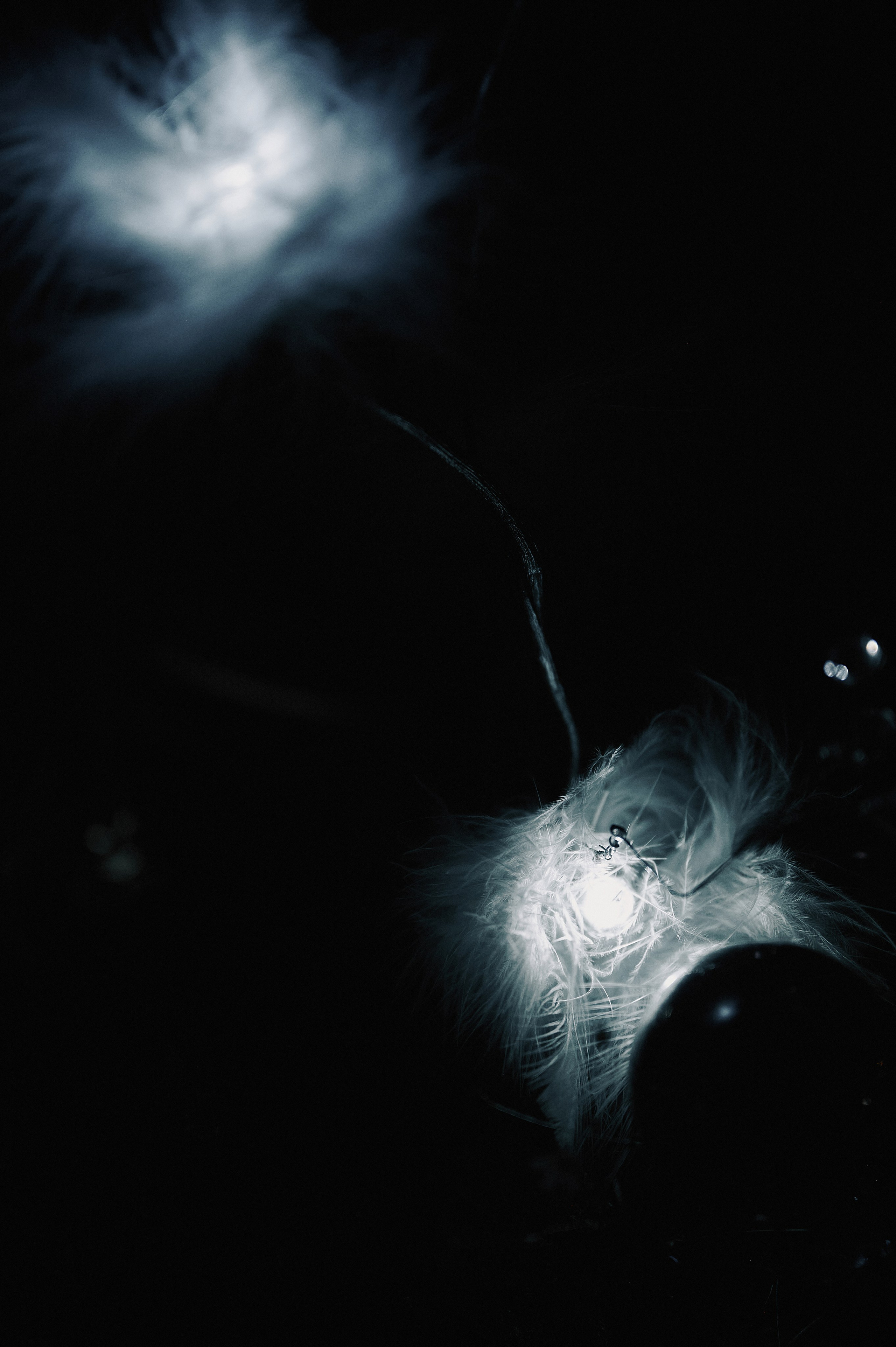 Как с Луны упали. Свадебный фотограф в Ростовe-на-Дону Анастасия Прутова