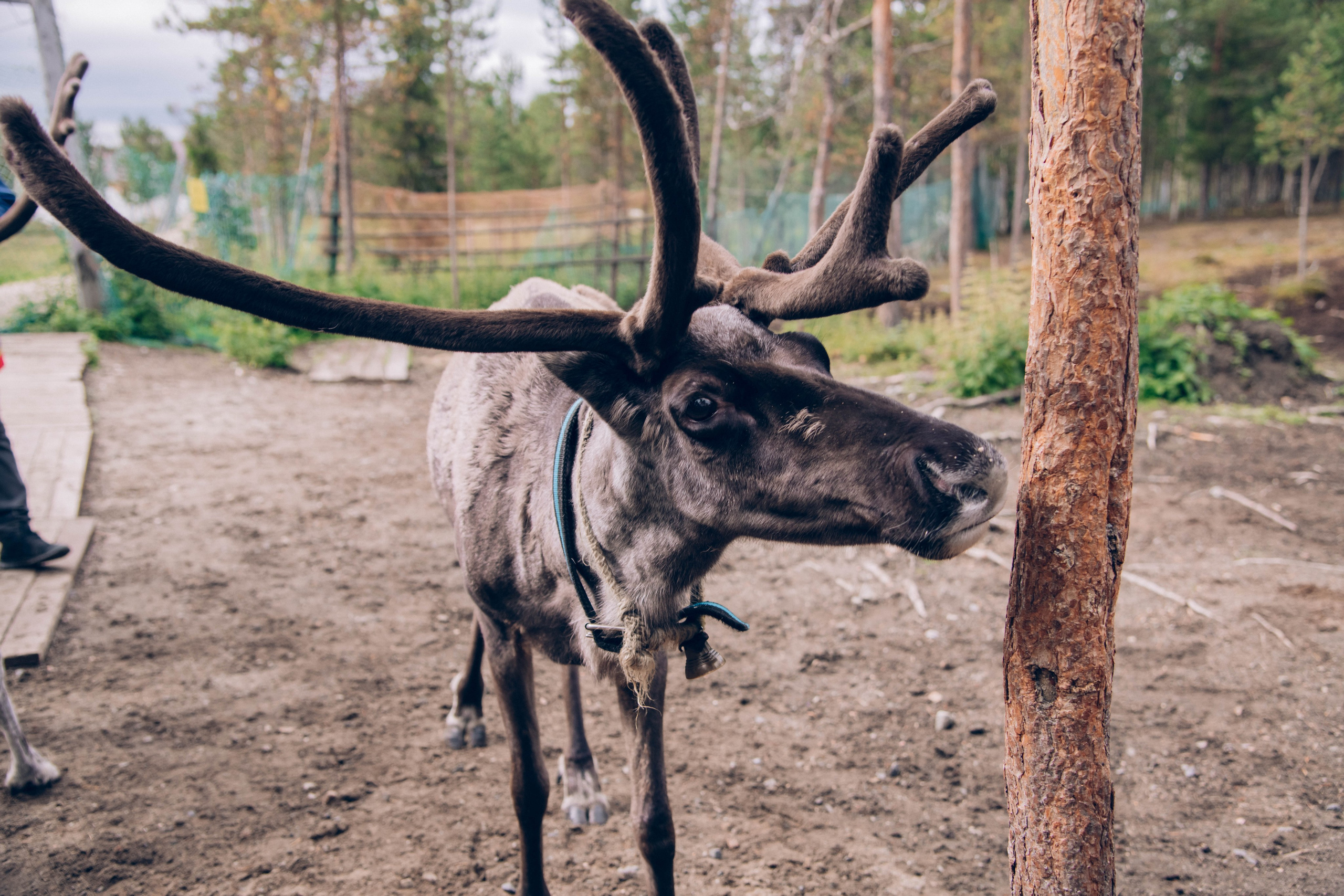 Кольский полуостров. Фотографирую для себя, своей семьи и друзей!