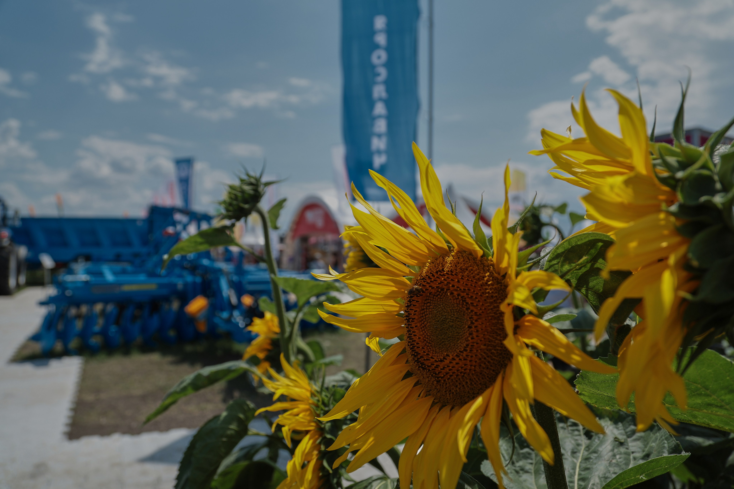 Репортажная съемка. Женский и контент фотограф Данилина Ирина в Москве