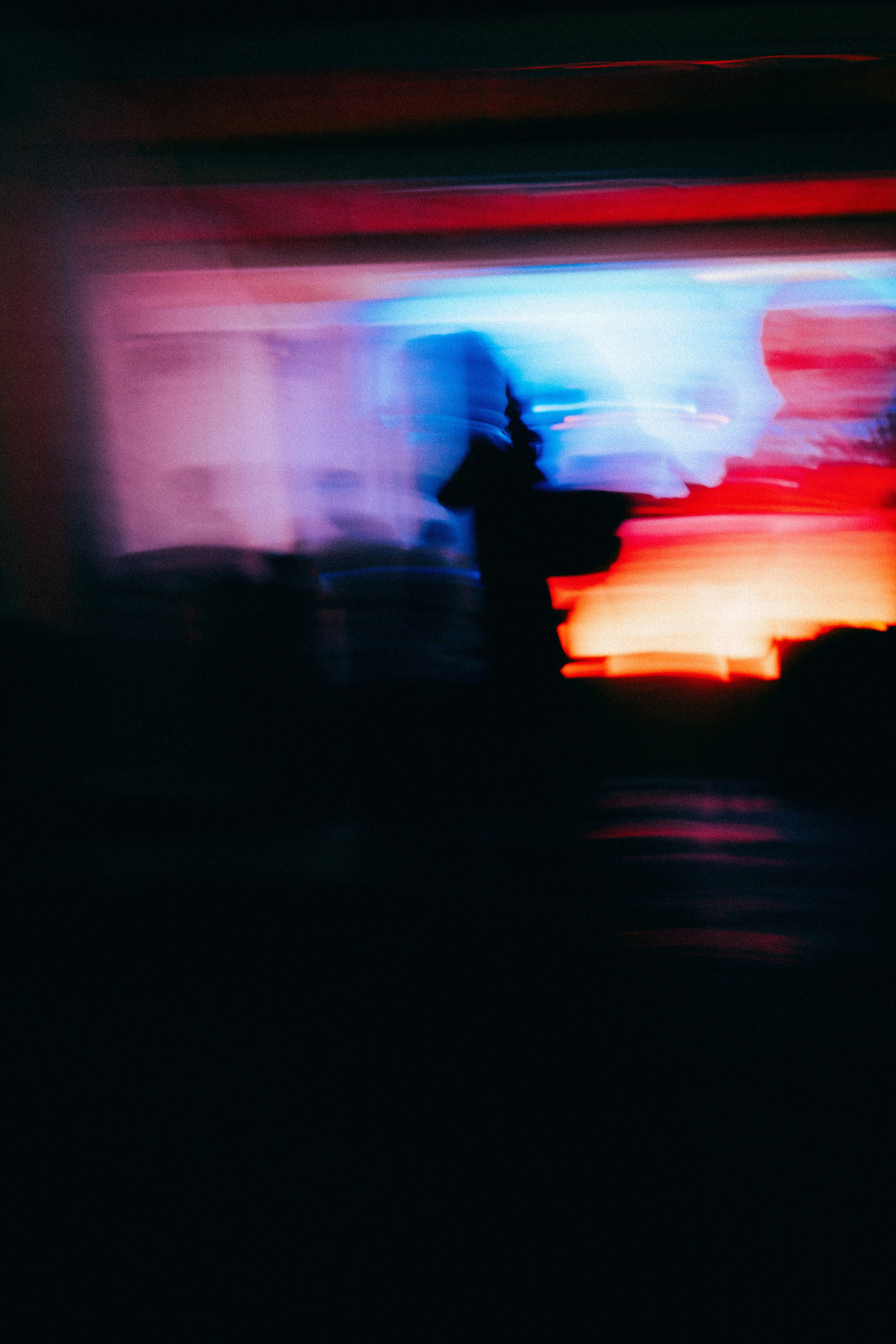 ZEN. Veronika Popadeikina Photographer