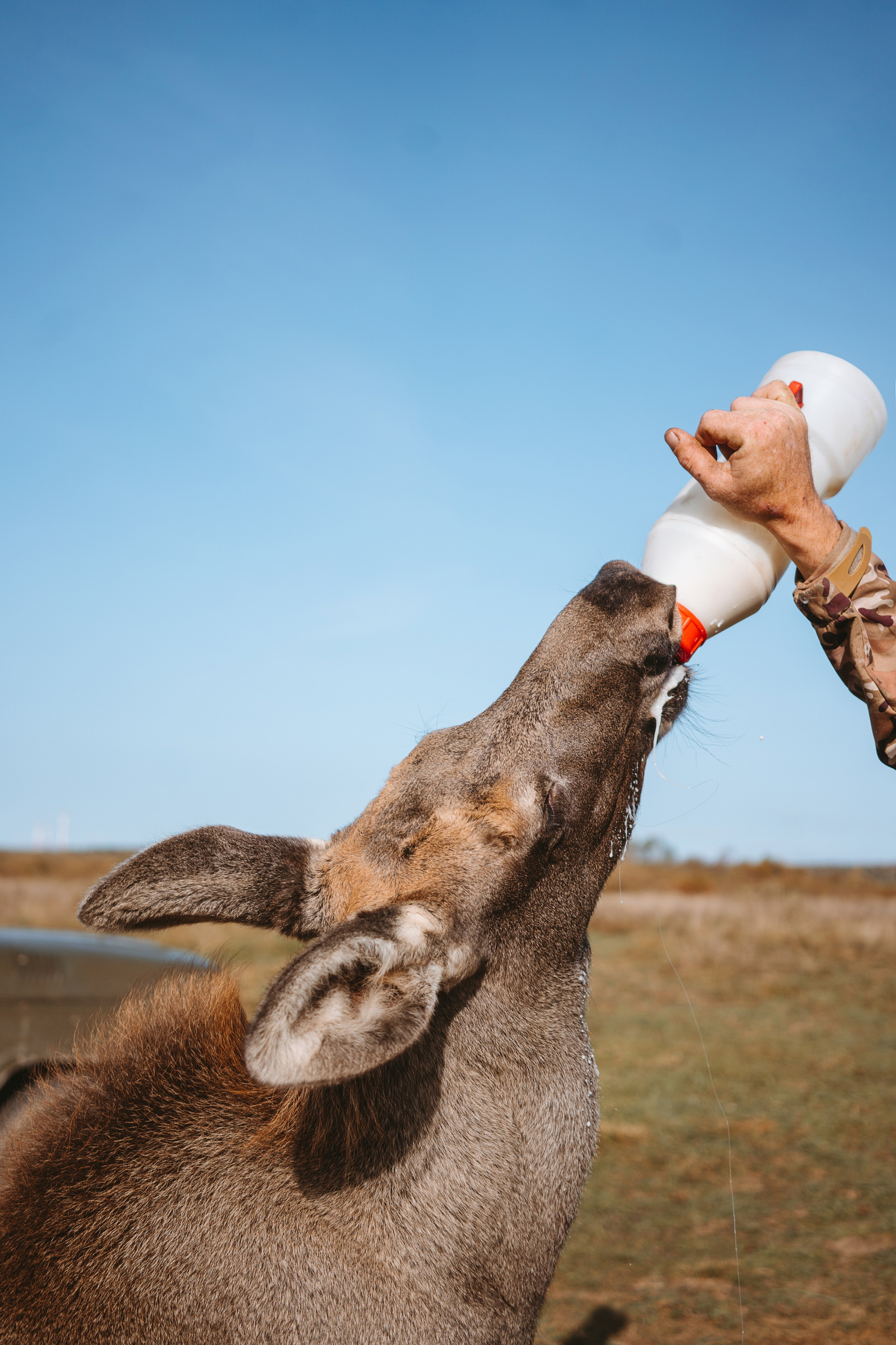 Художественные. Главная