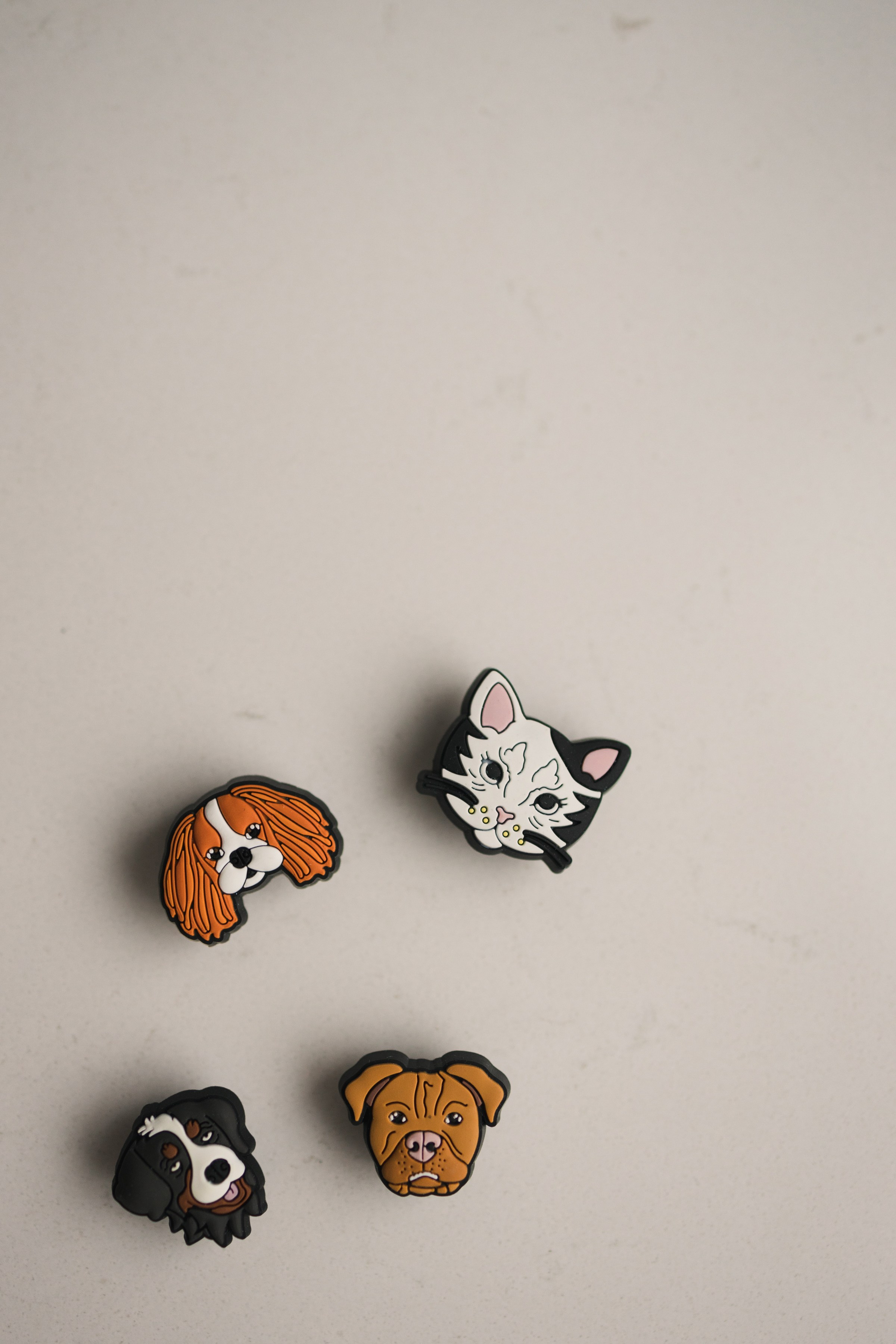 Ветеринар-стоматолог. Портретный фотограф СПб, женский фотограф, минимализм и эстетика