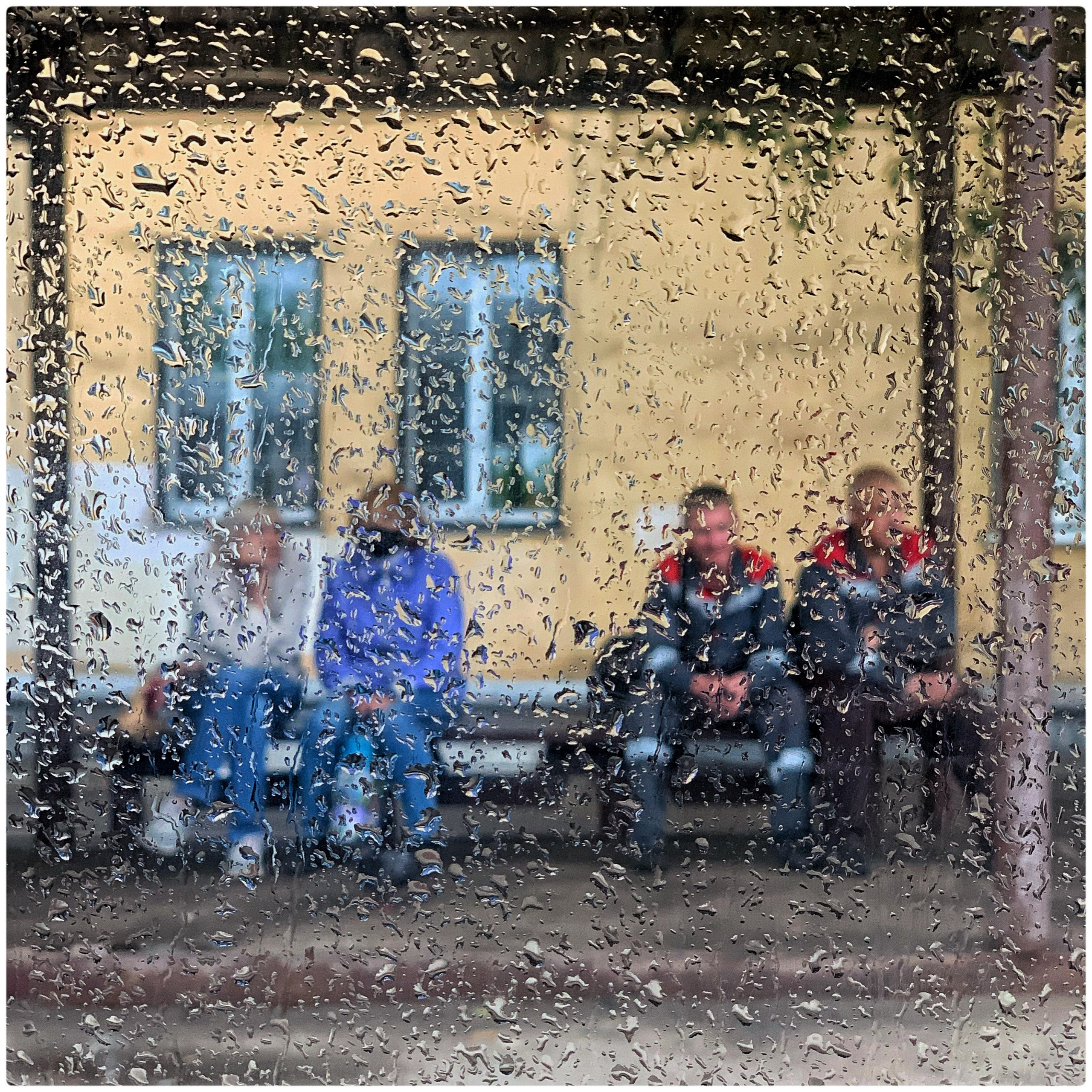 2020. Тащилин Сергей. Фотографии. Жизнь. Хобби