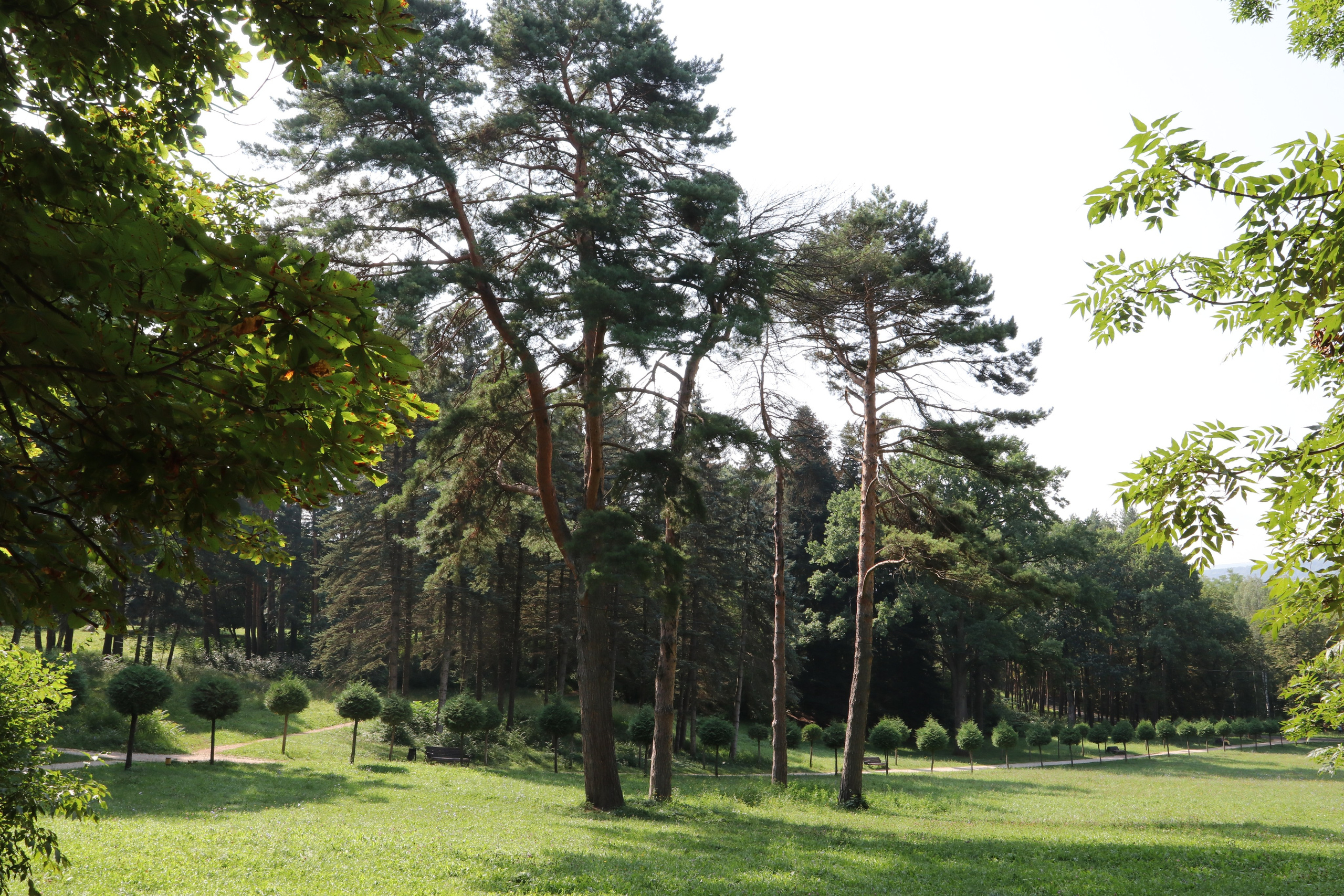 Кисловодские пейзажи. Фото-художник и Репортажный фотограф Николаев Александр Алексеевич