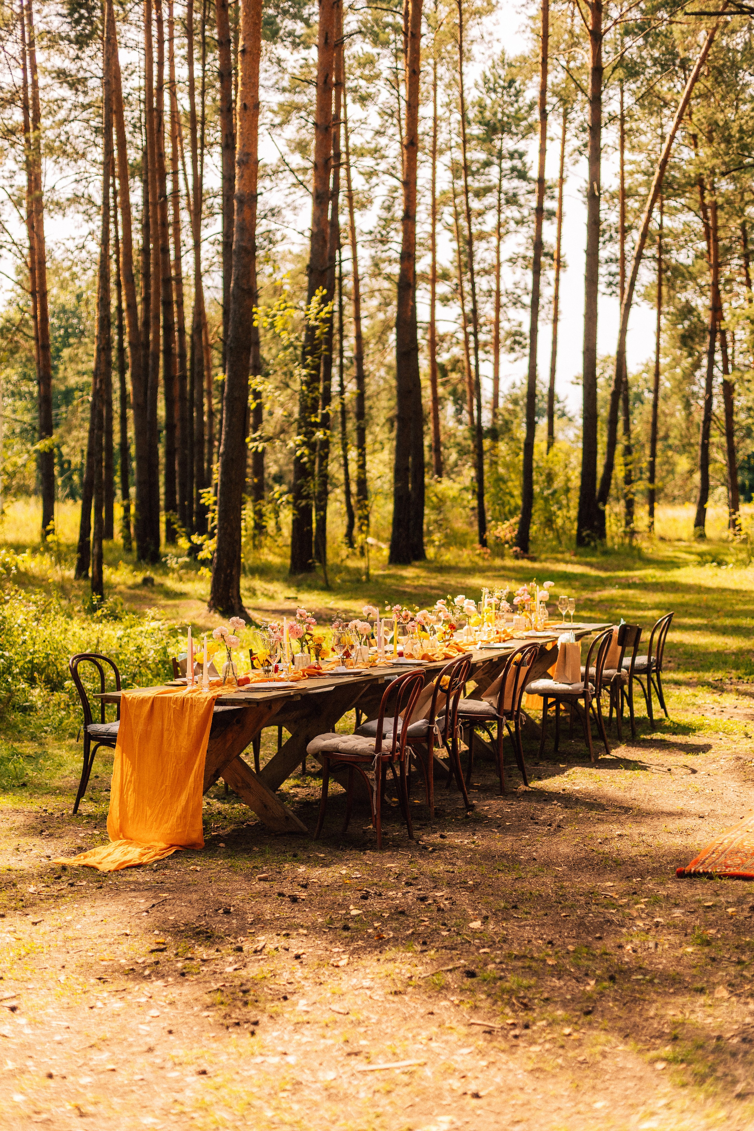 Корги свадьба в сосновом лесу. Фотограф Москва Жуковский Раменское