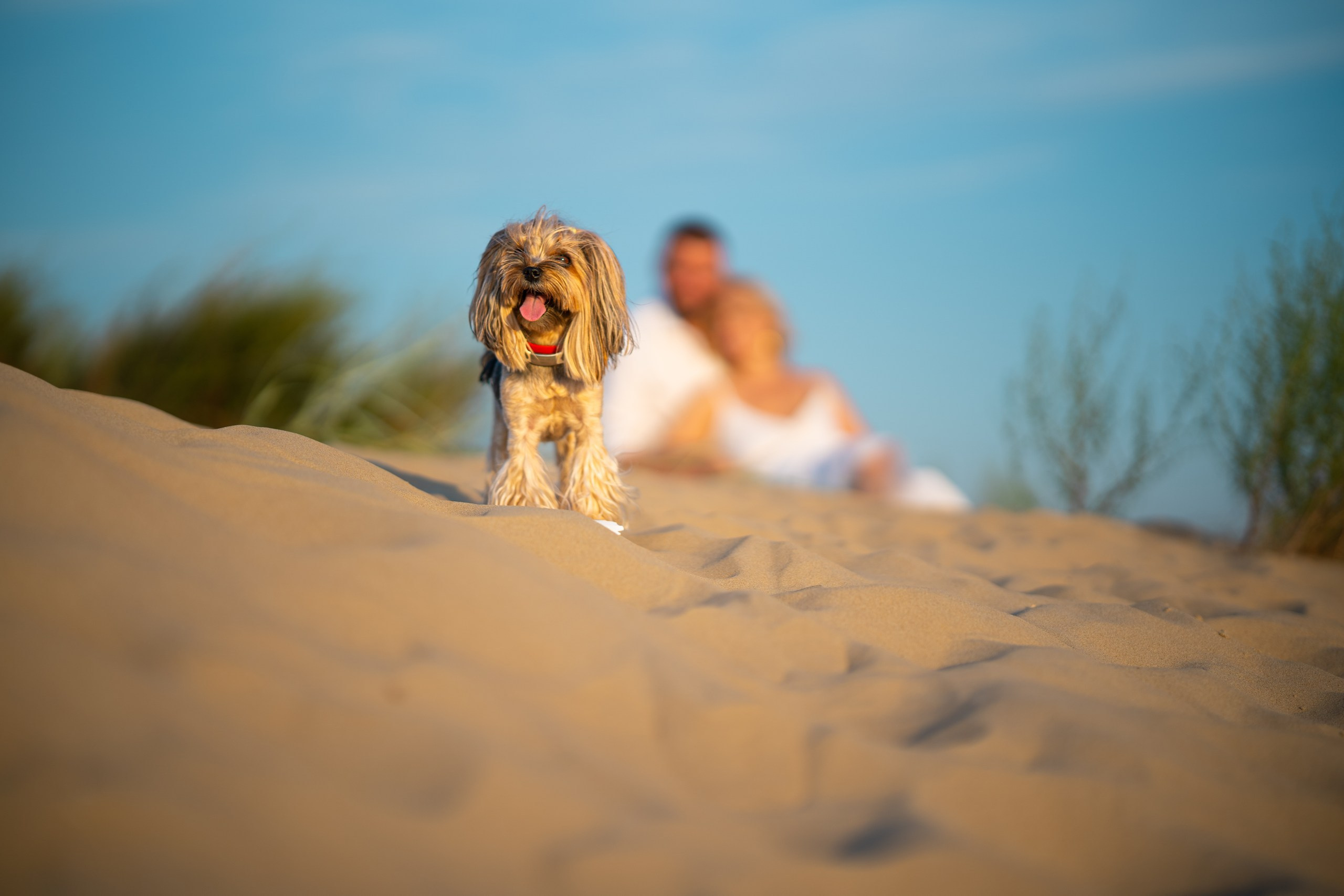 Летние пакеты сьемок в Анапе. Dofaminlab, фотография, видео, контент и продвижение соцсетей