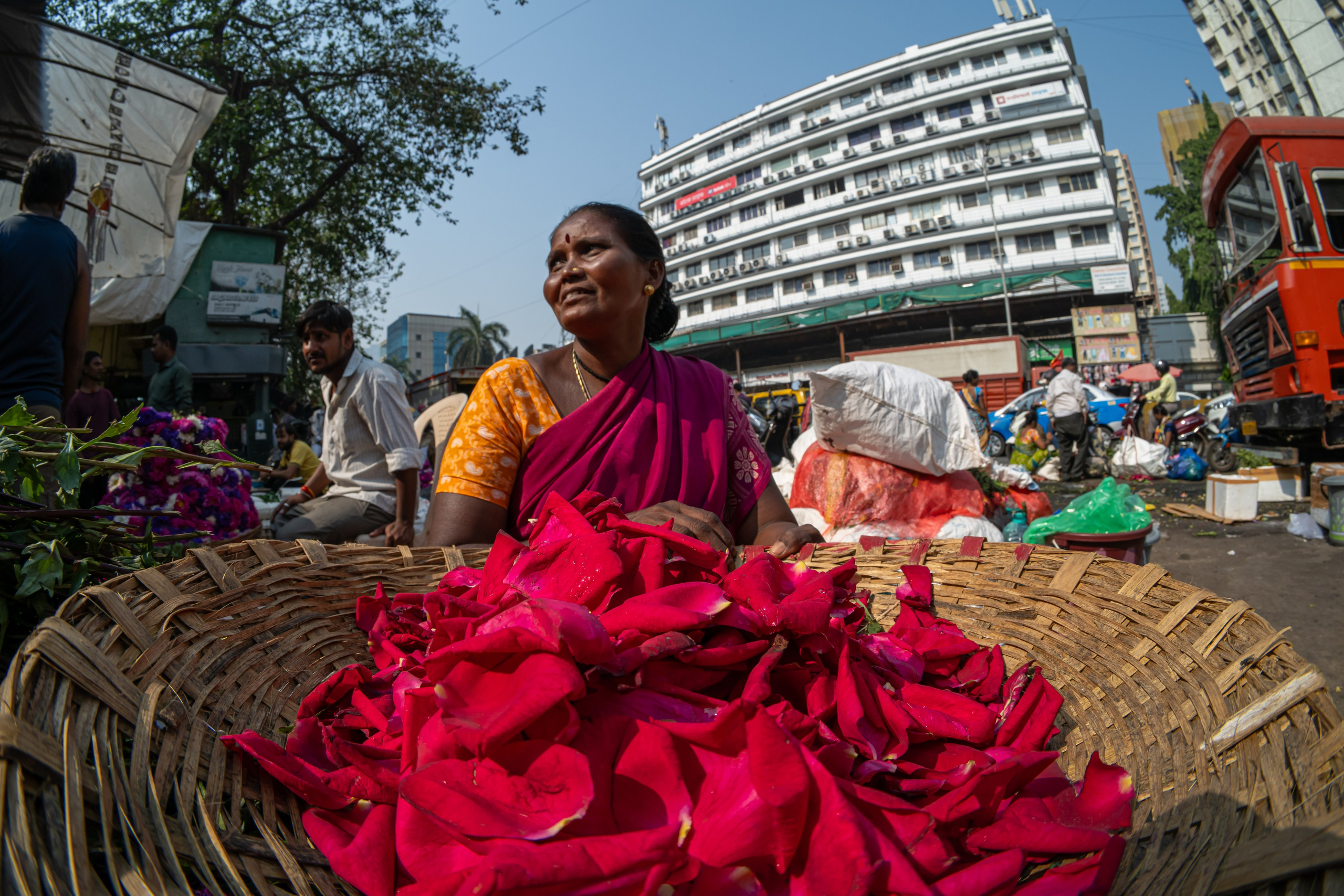 India 2024-2025. Dimitri Bakhtadze photographer