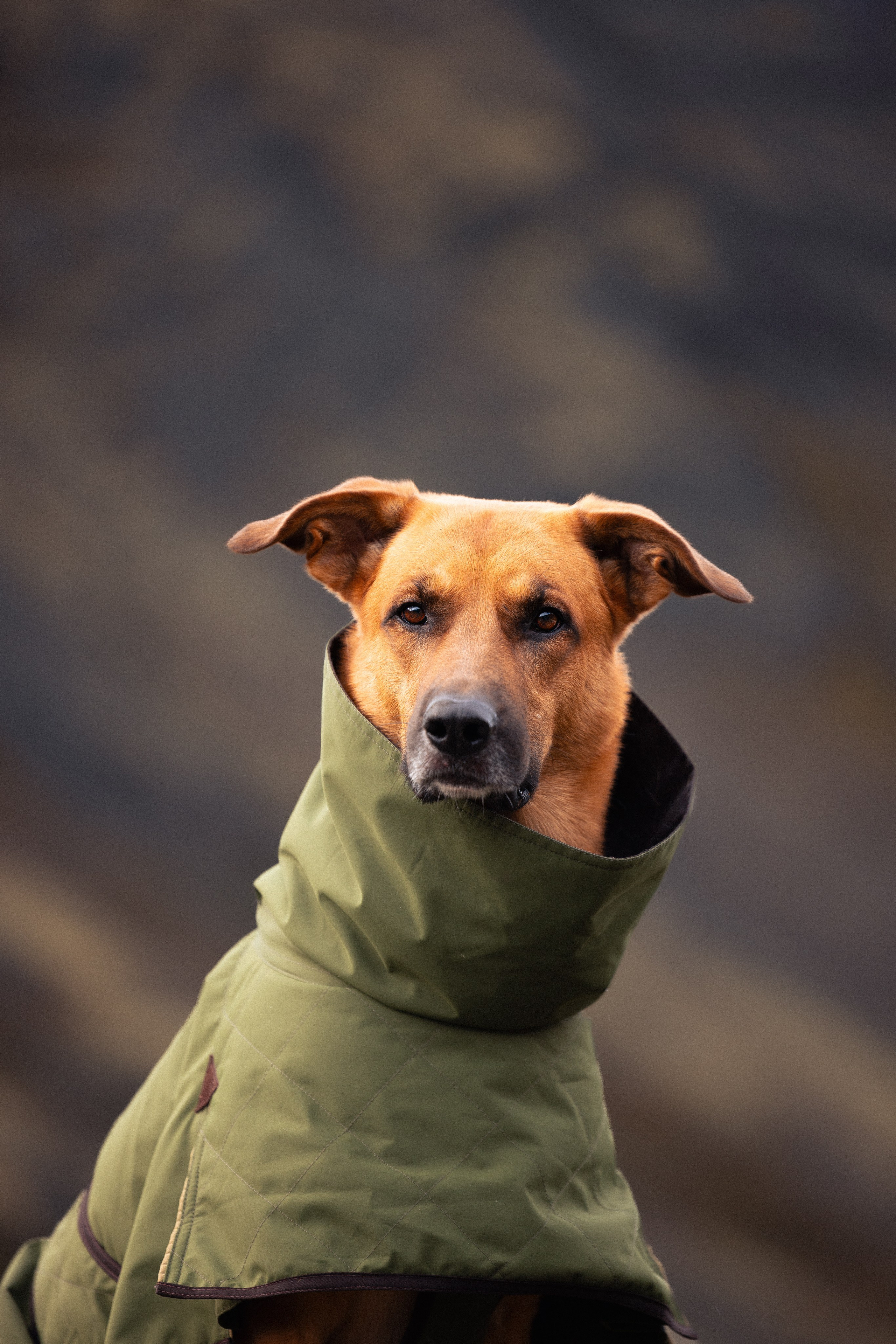 Кольский. Фотограф и видеограф анималист Аганина Дарья