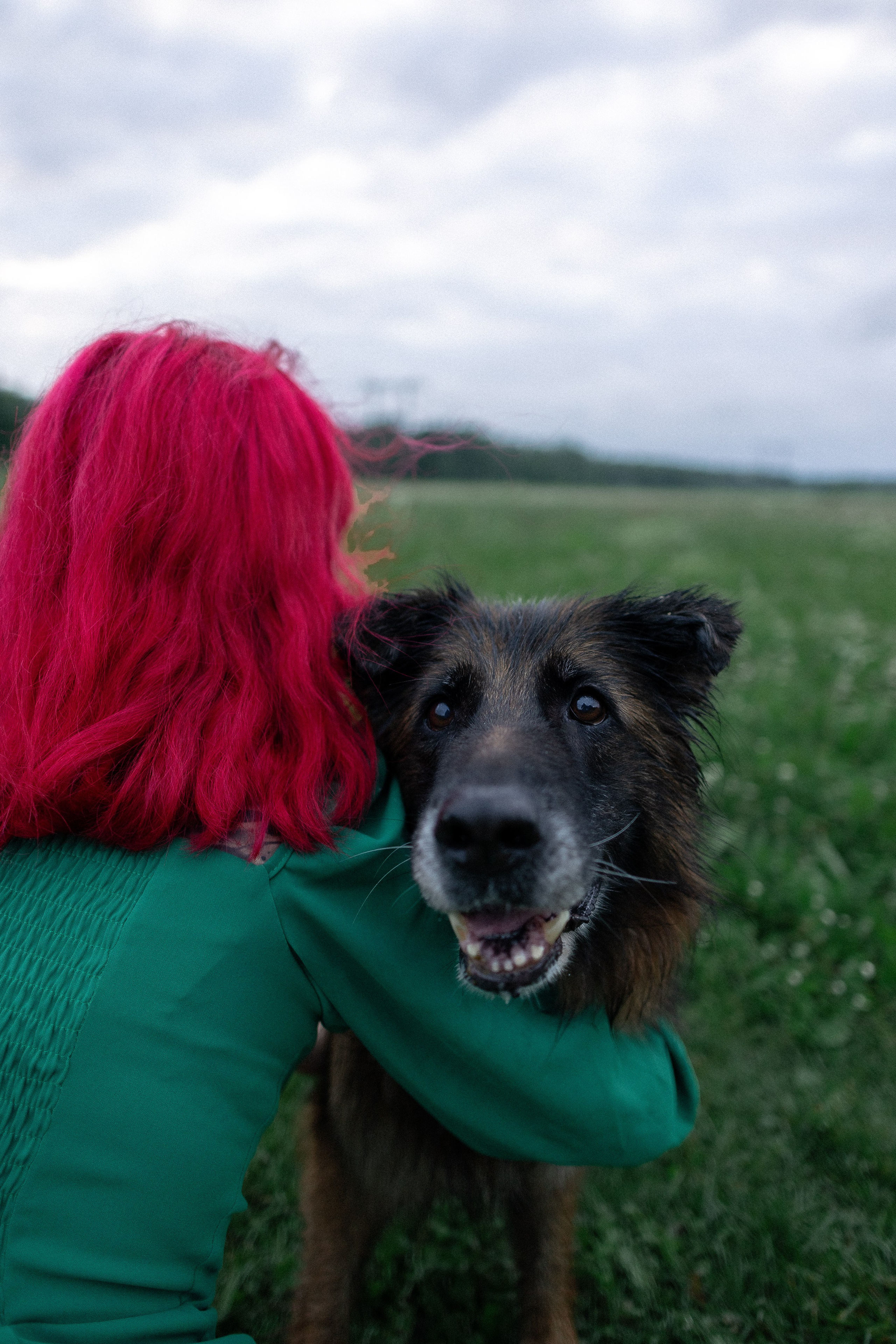 Алена, Фанни и Фрея. Фотограф и видеограф анималист Аганина Дарья