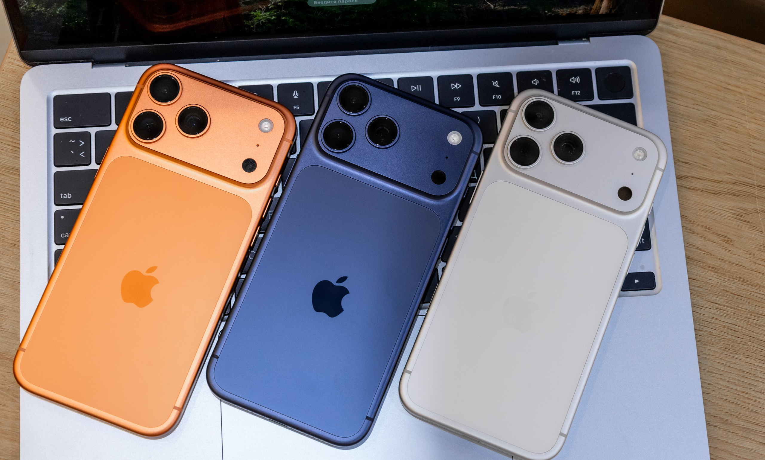 CONNECT CENTR. Семейный и Свадебный фотограф в Сочи