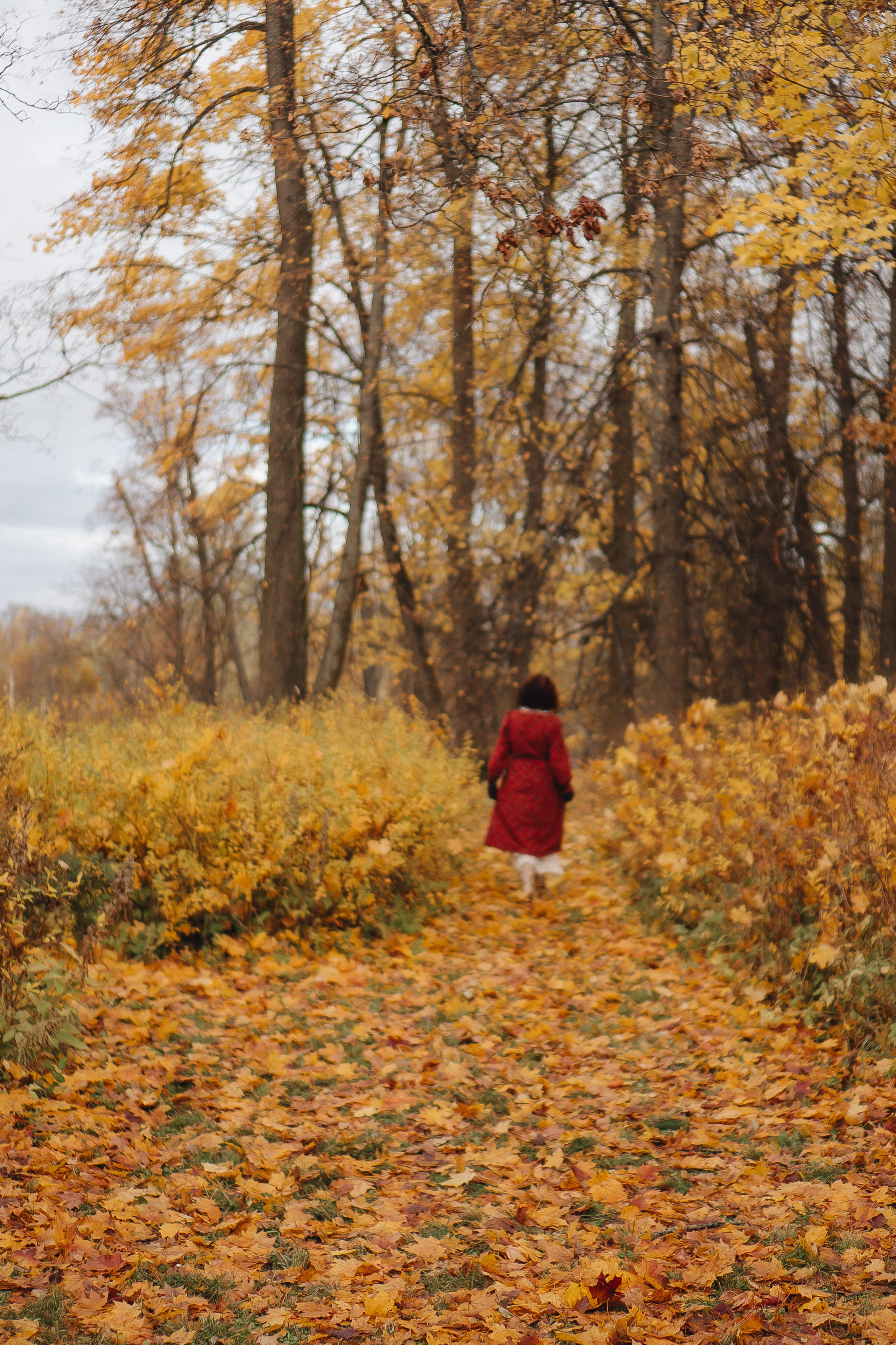 Осенний парк. Профессиональный фотограф, Санкт-Петербург — Виктория Богомолова