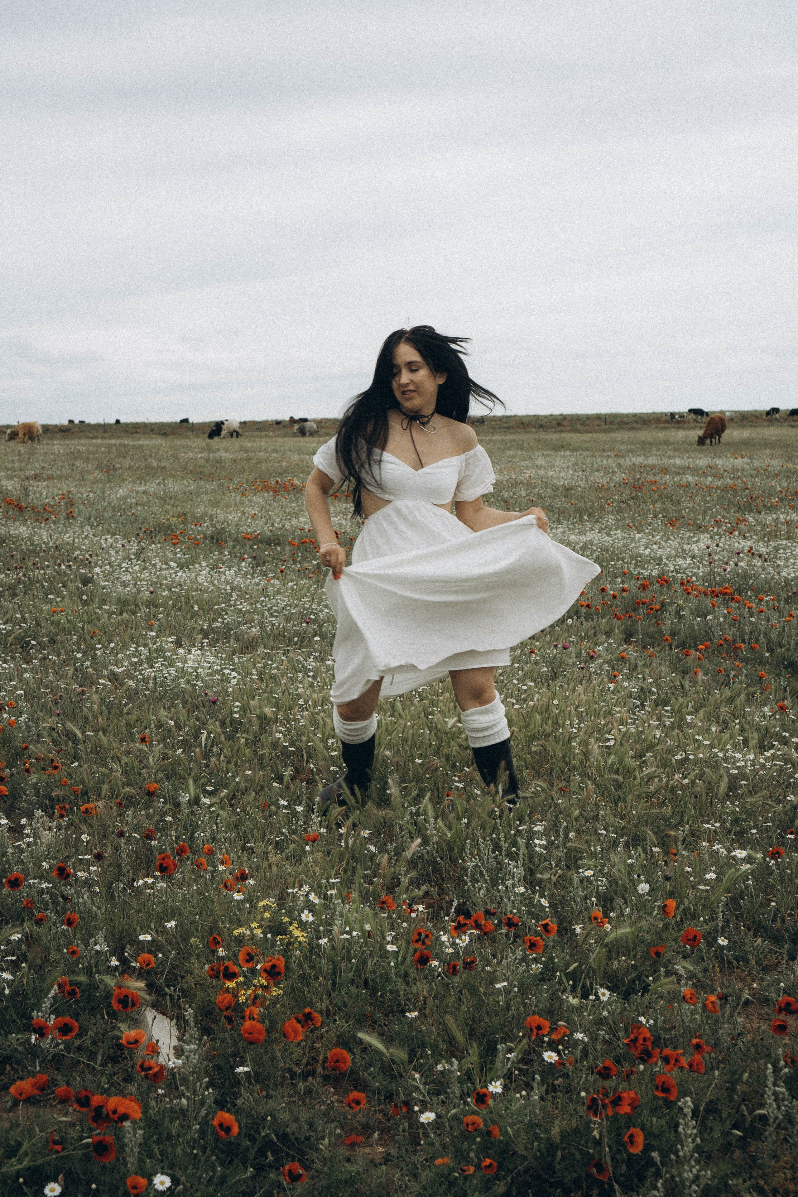 Маковое поле. Профессиональный фотограф, Санкт-Петербург — Виктория Богомолова