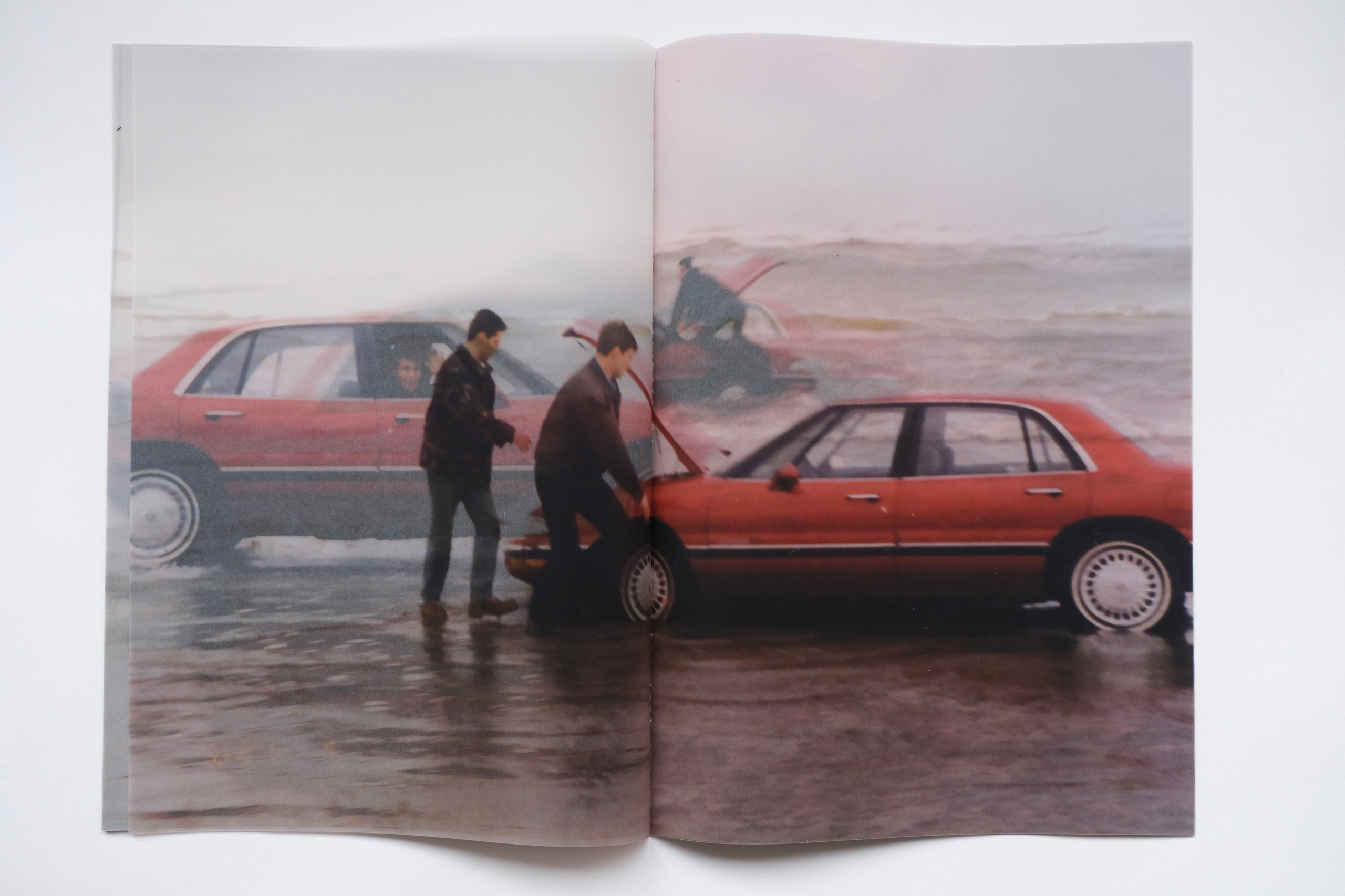 BuickleSabre1998 [книга/work in progress]. Аня белка — художница и фотограф