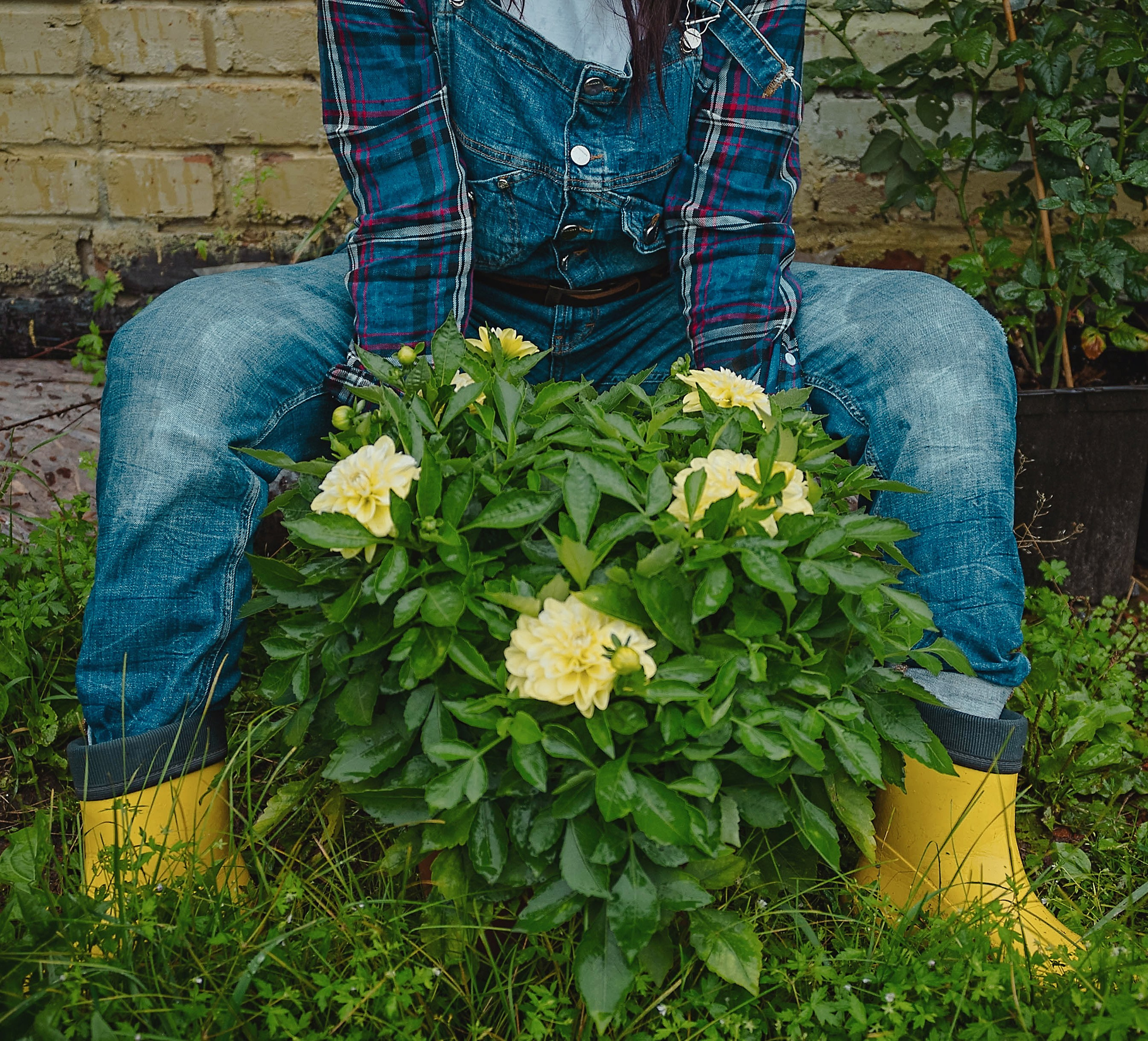 Лесное царство Оксаны. Свадебный и семейный фотограф в Новосибирске, Санкт-Петербурге, Москве
