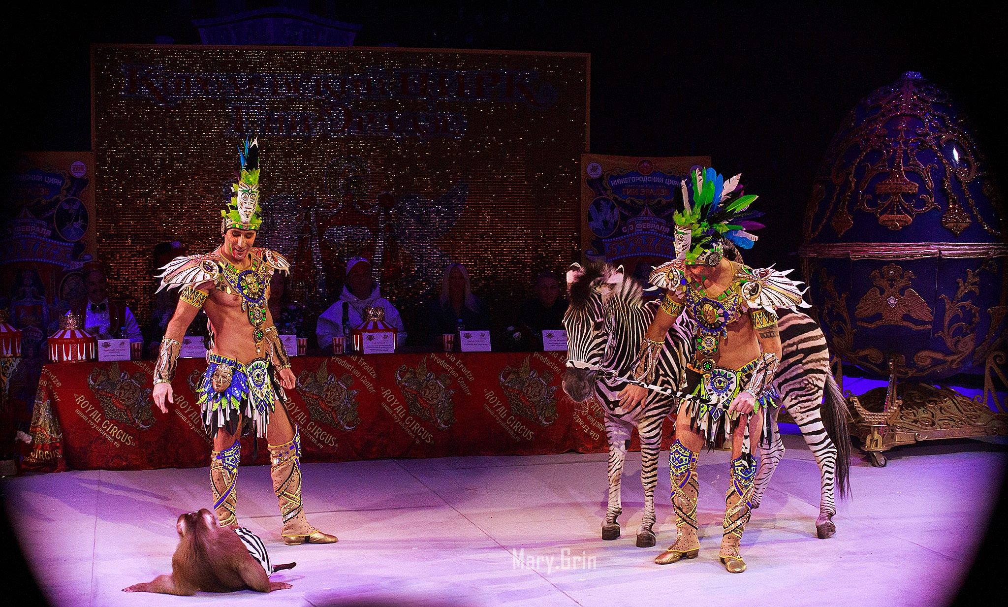 Цирк Гии Эрадзе. Детский и семейный фотограф, фотограф мероприятий Нижний Новгород