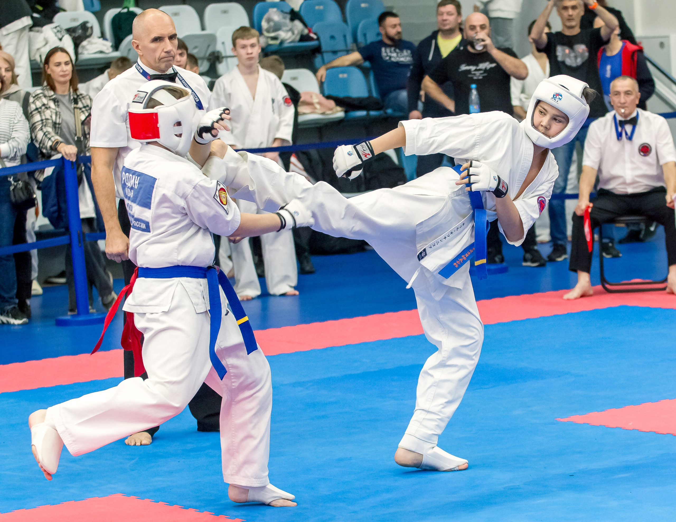 Соревнования по Киокушин памяти С. Увицкого. Репортажная съемка в Москве и области. Анималистика