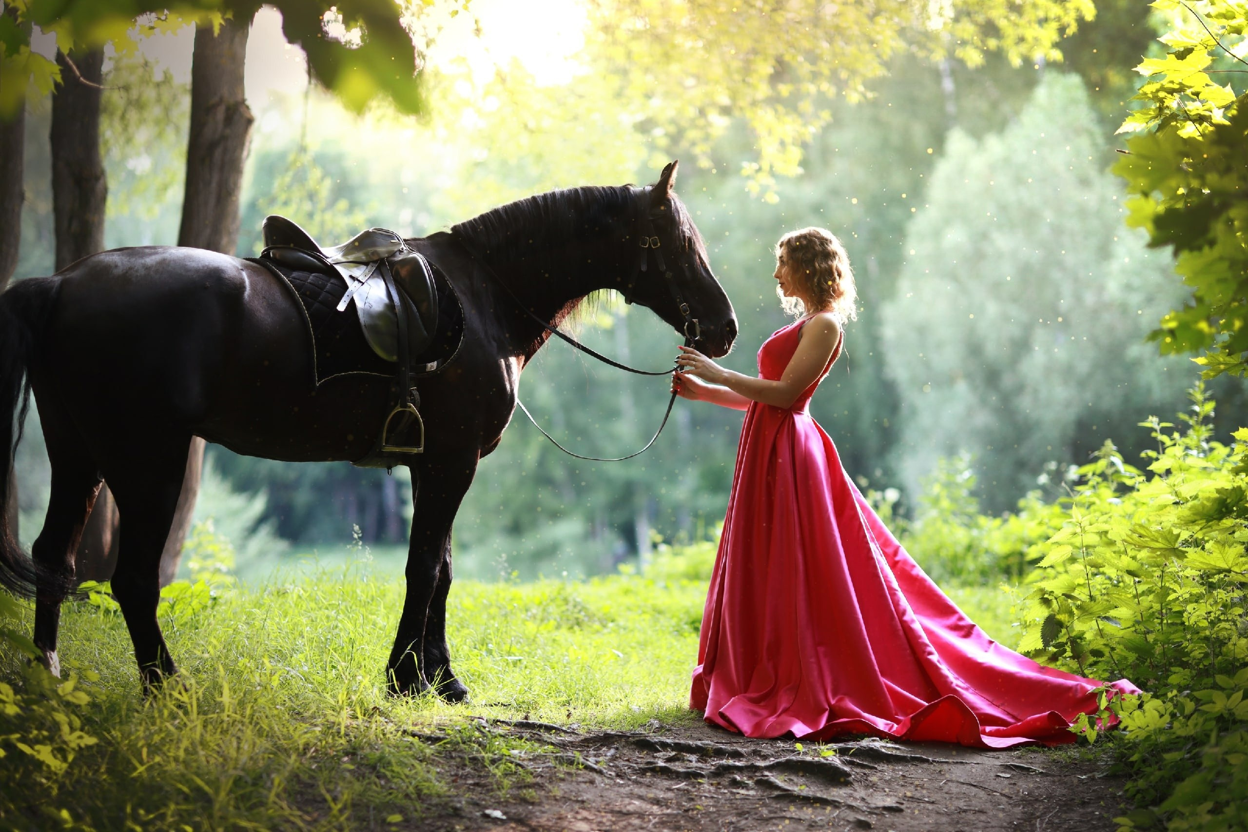 Фотосессии с лошадью. Фотосессия с лошадьми