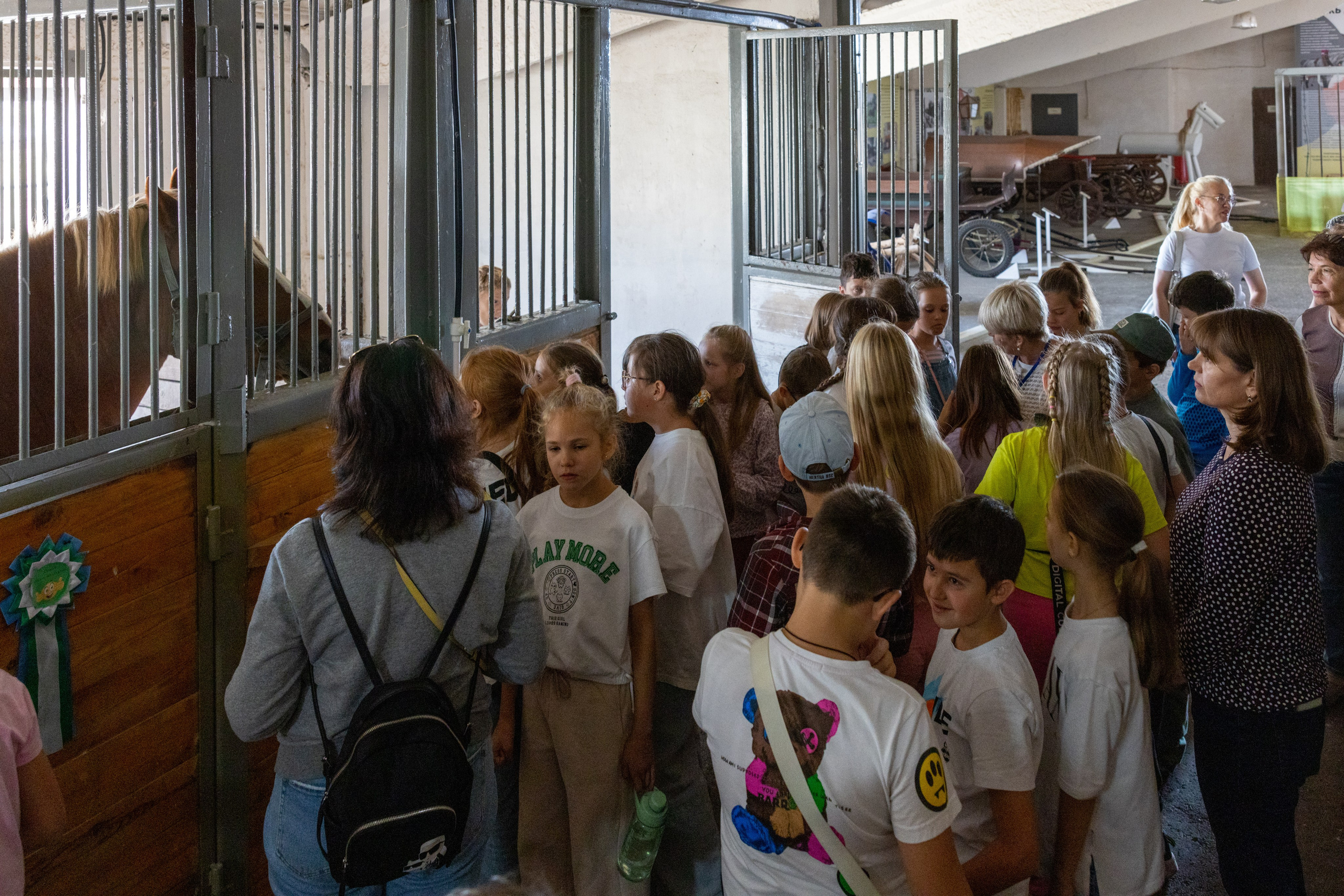 Поездка на поле Кулеково. Фотограф в Туле Крупский АнДРей. Фотостудия «КАДР71» в Туле