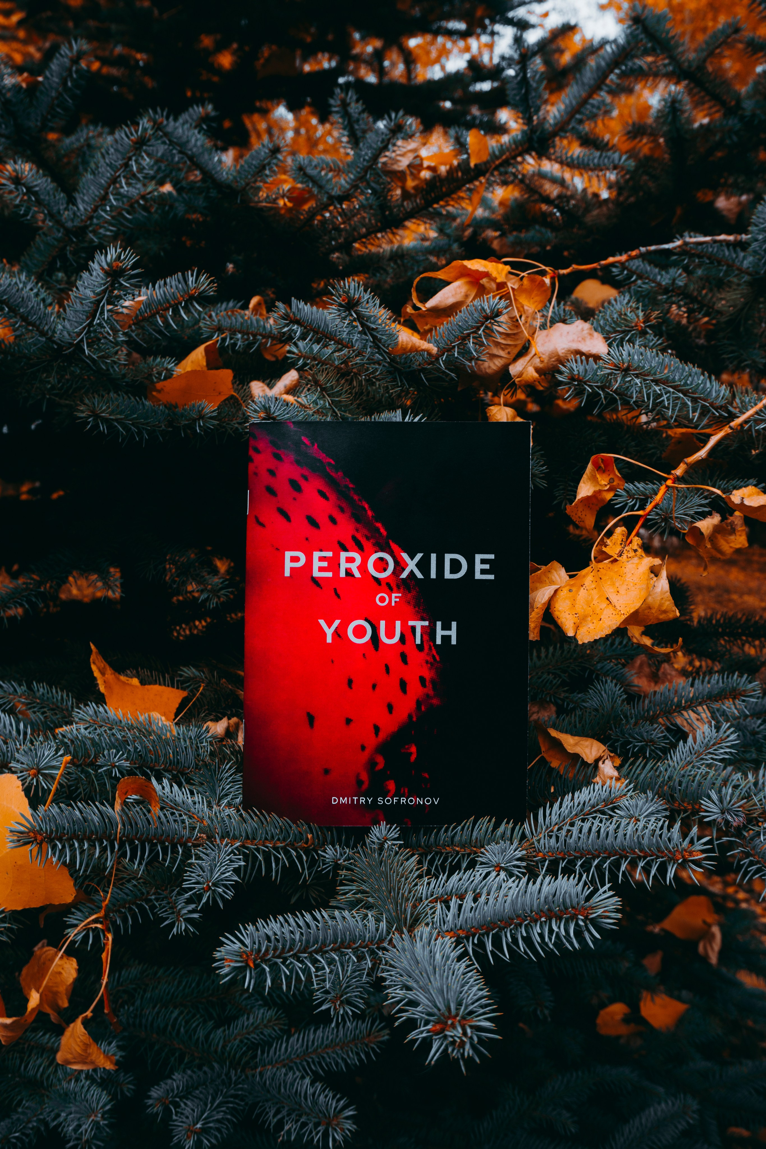 Мои Книги. Felixtones