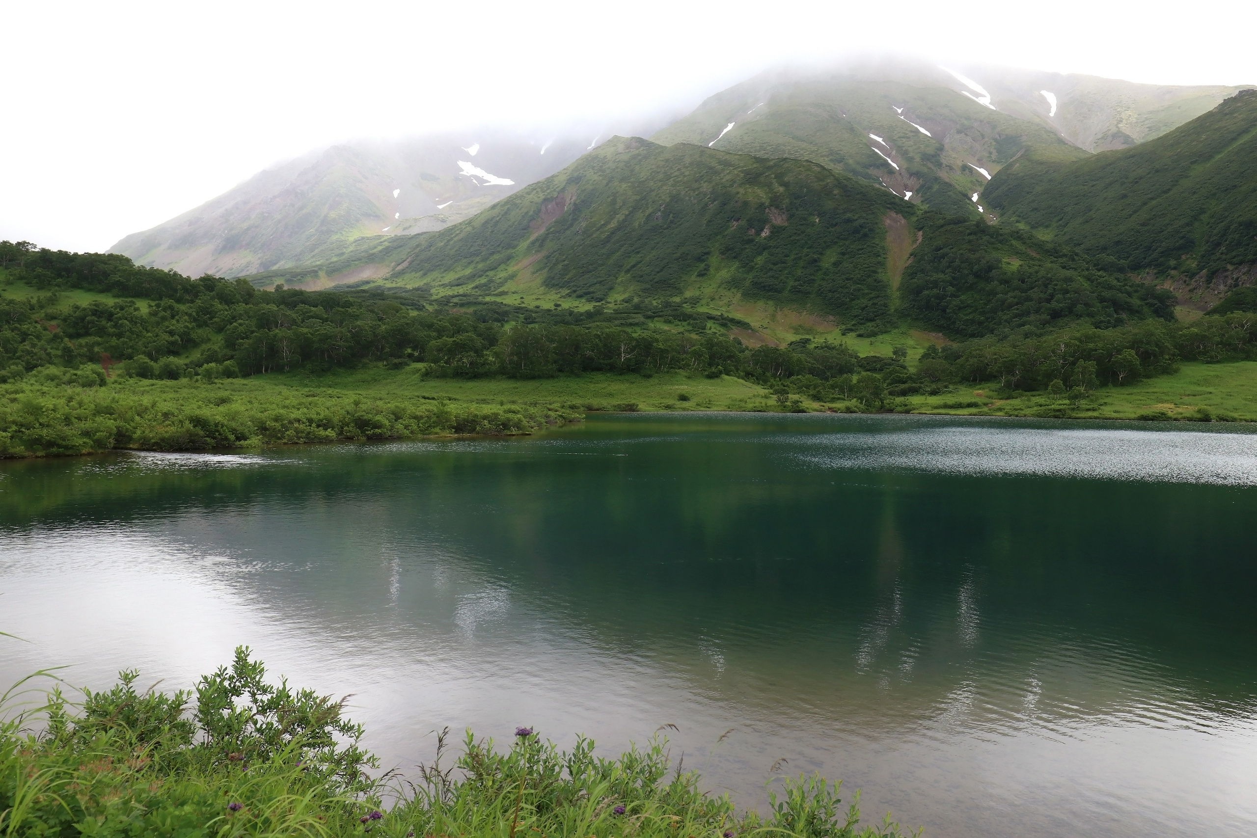 Камчатка и о. Парамушир. Июль 2024. Путешественник-фотограф из Санкт-Петербурга Татьяна Свистулина