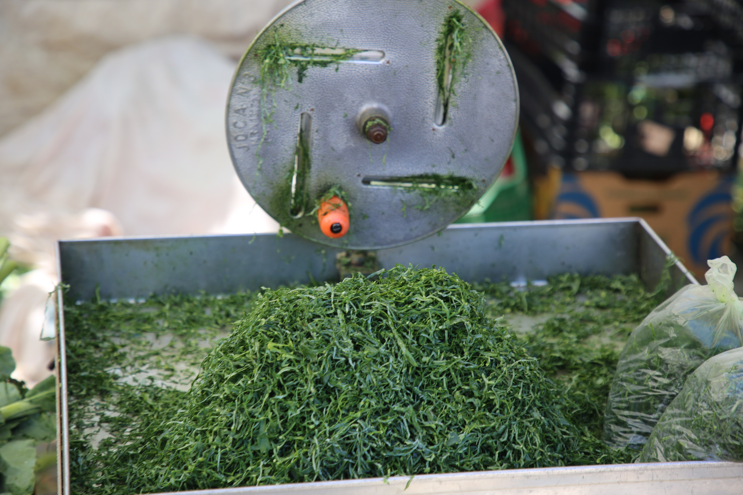 Espihnio, Portugal. Andrey Filippov Photographer