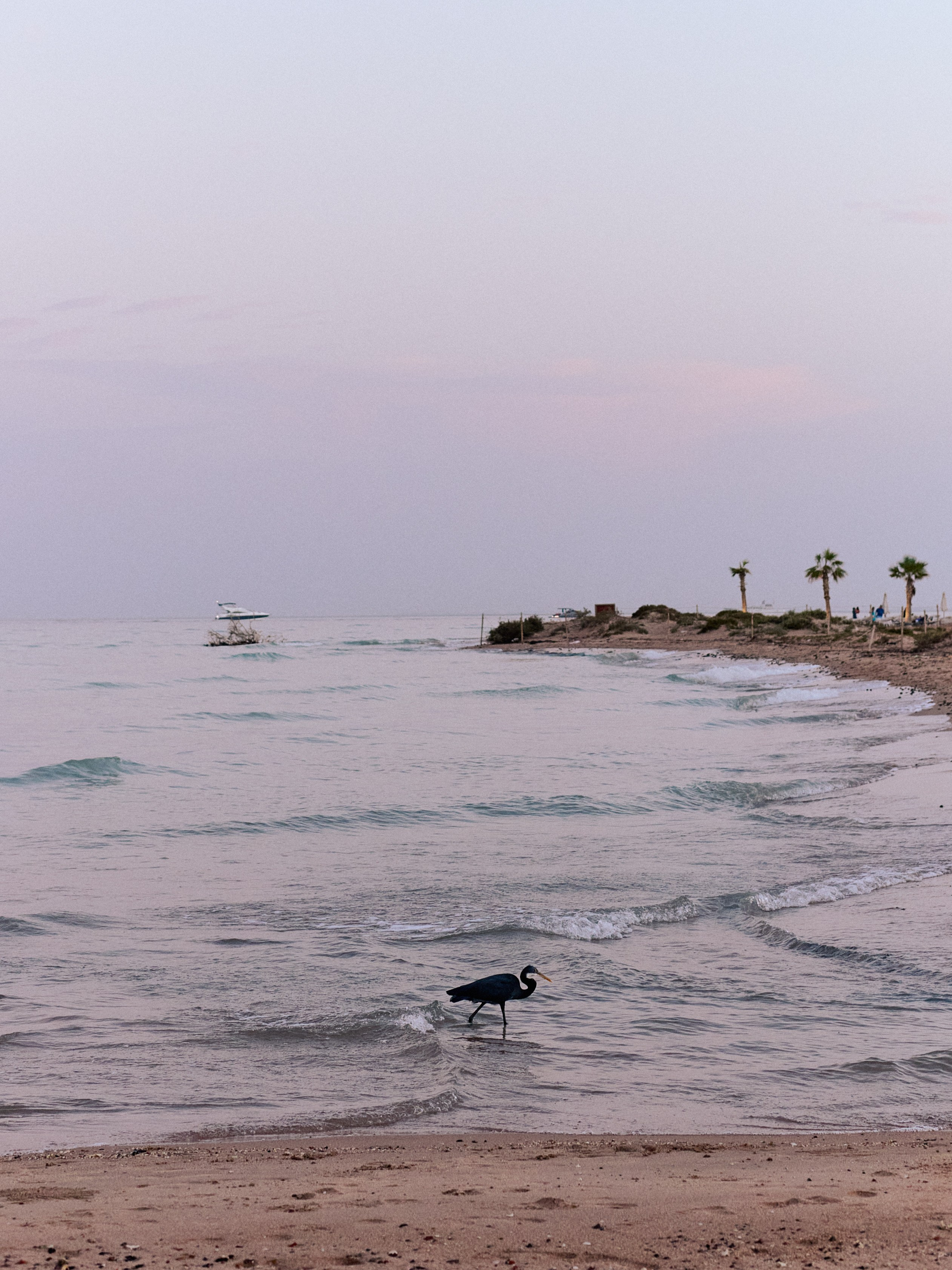 Другое 3. Jorgis — фотограф в Хургаде / обучение фотографии