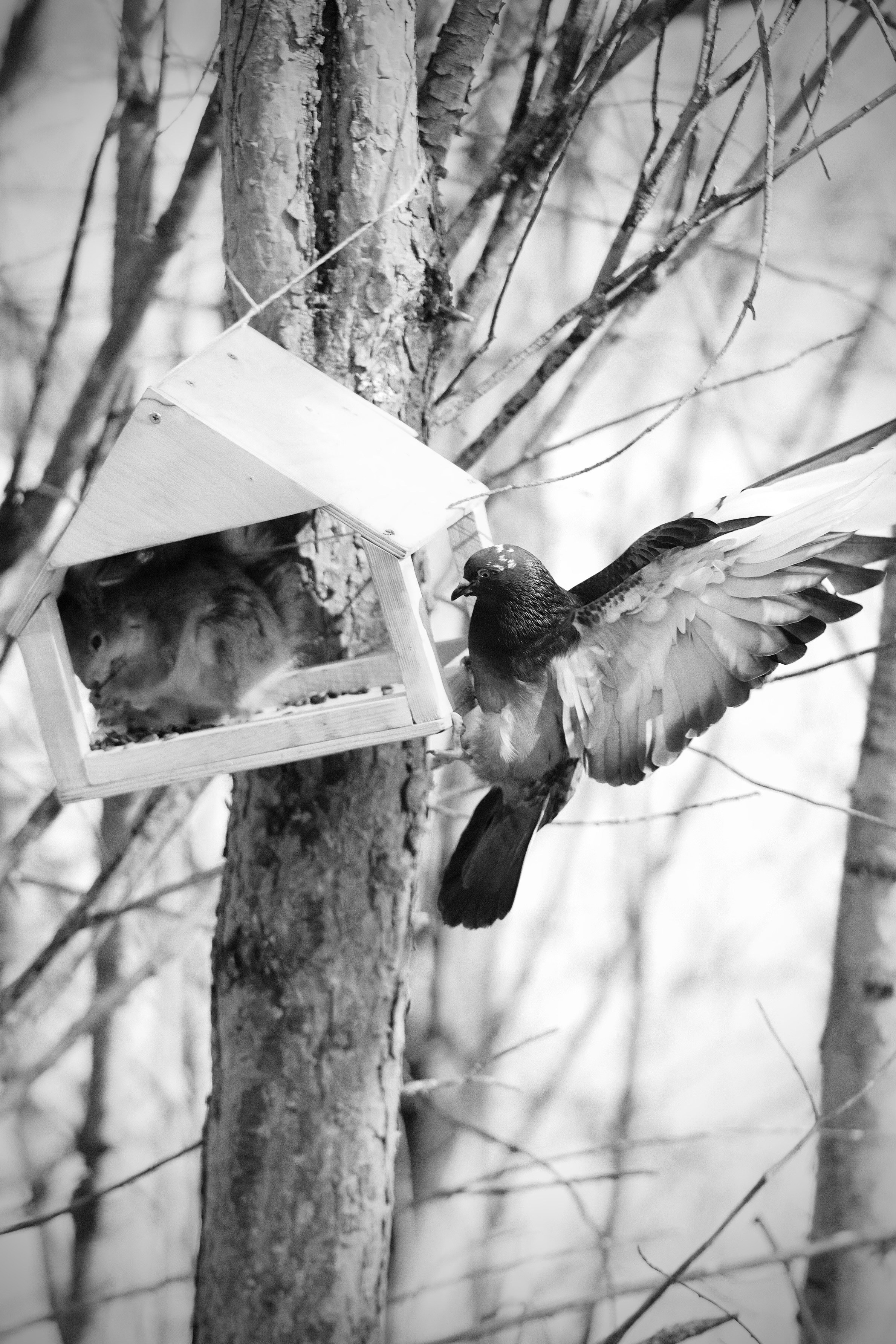 Зверята. Репортажный и семейный фотограф — Шелихов Сергей