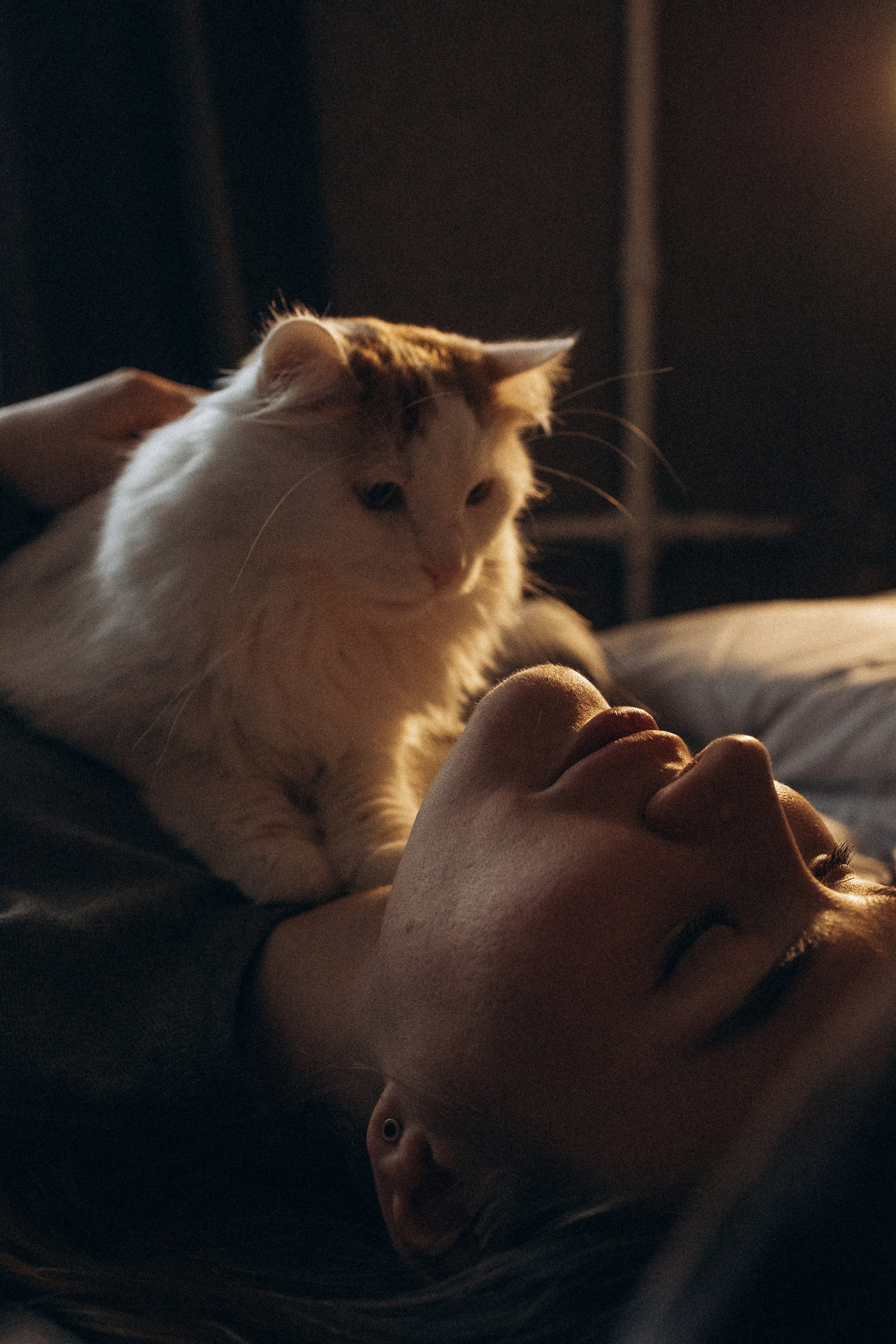 Маша и ее семья. Фотораф — анималист Мария Шистка