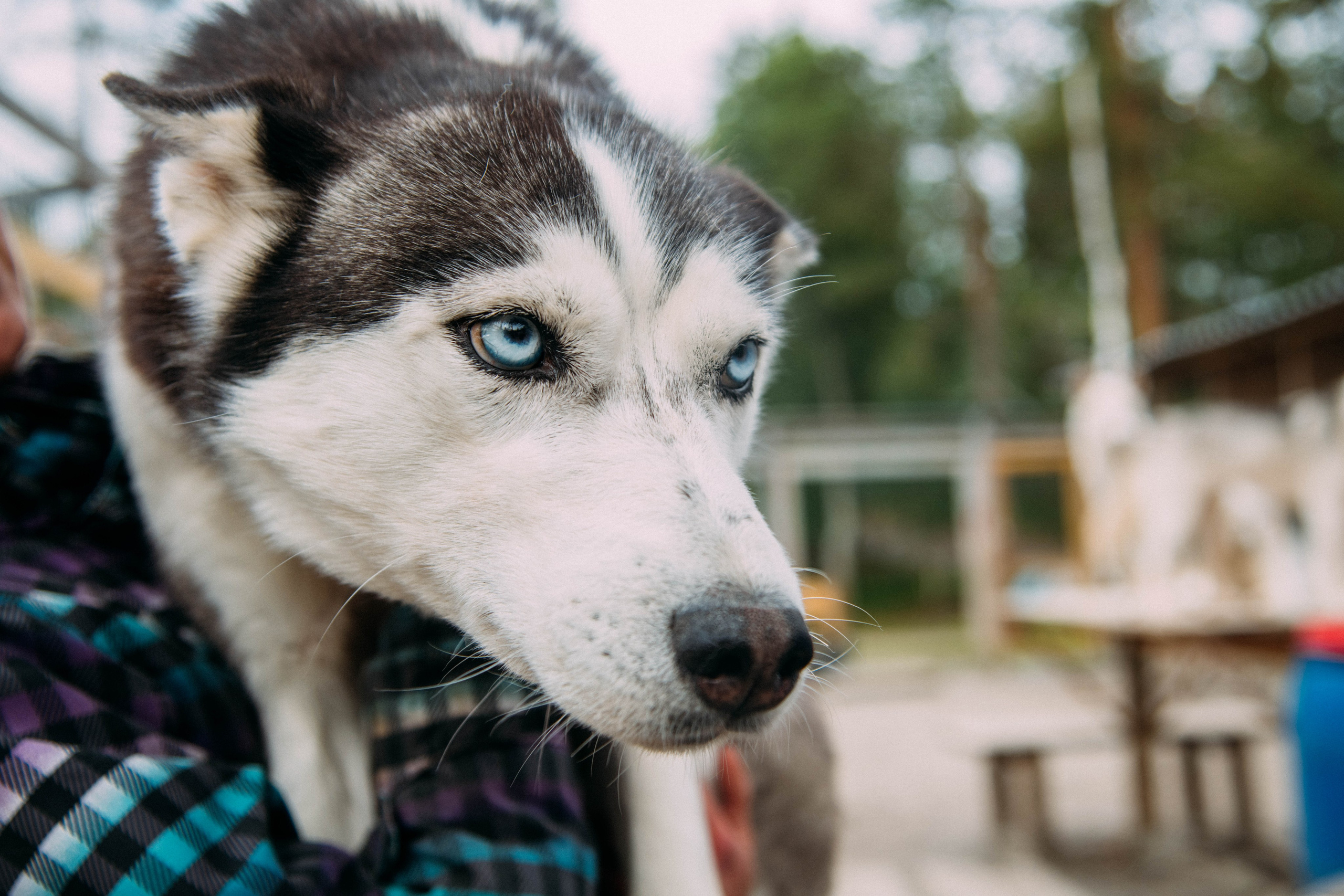 Кольский полуостров. Фотографирую для себя, своей семьи и друзей!