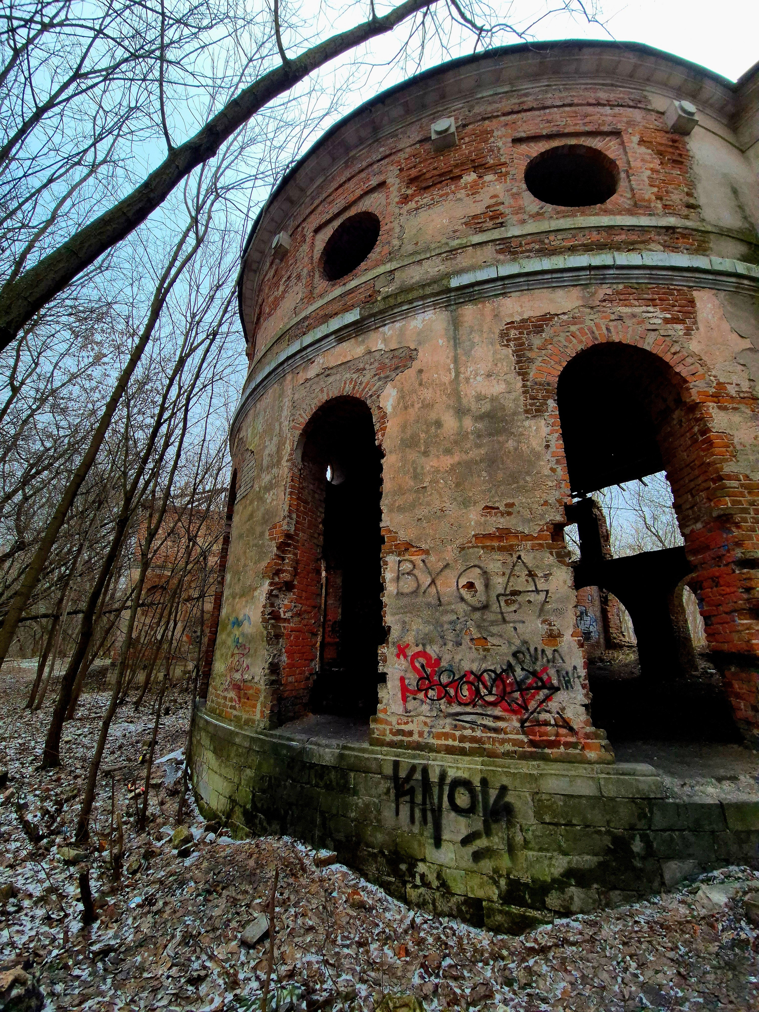 Померанцевая оранжерея, была соединена с главным зданием крытым проходом. 