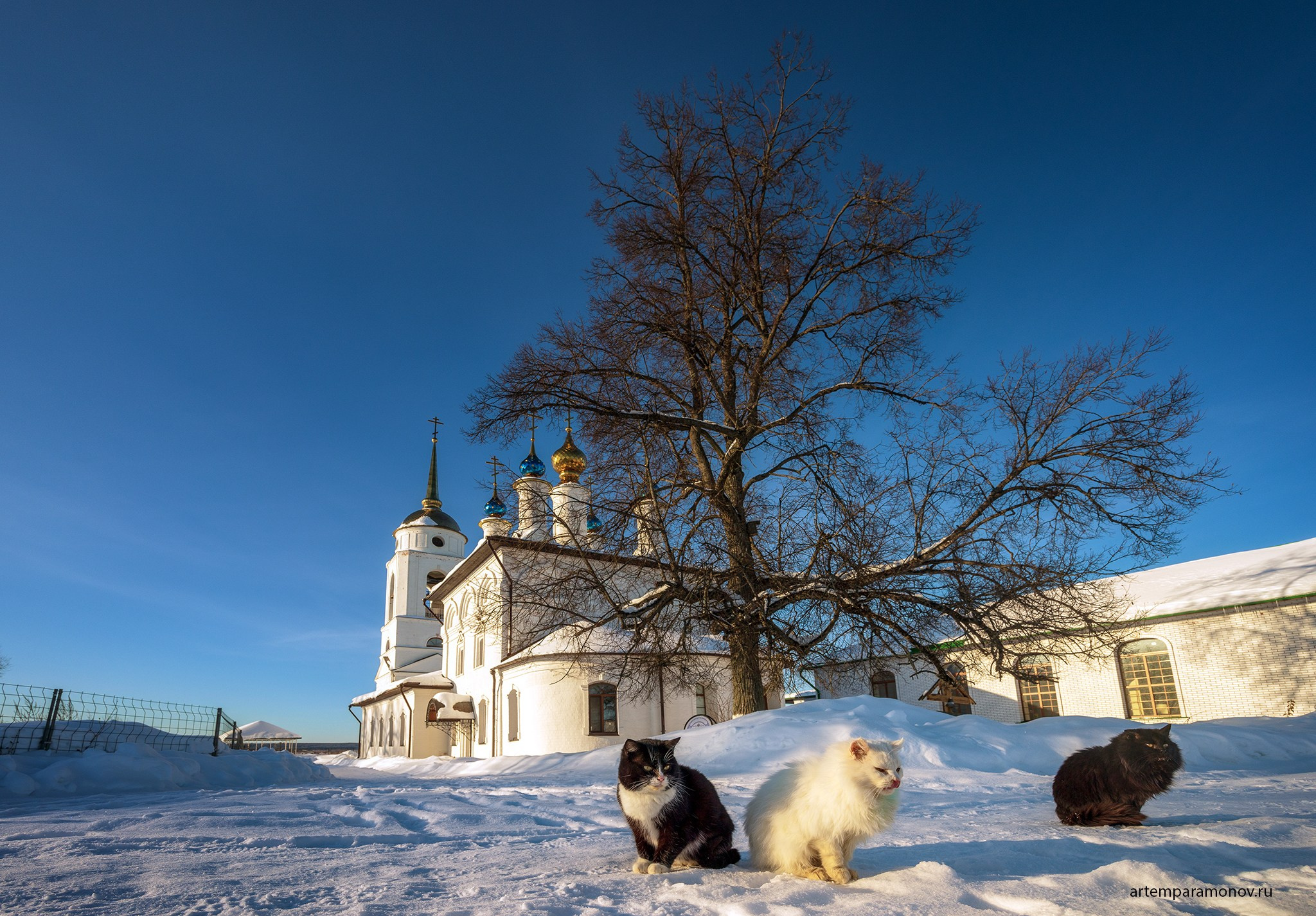 Свято- Покровский Добрый монастырь. Фотохудожник Артём Парамонов