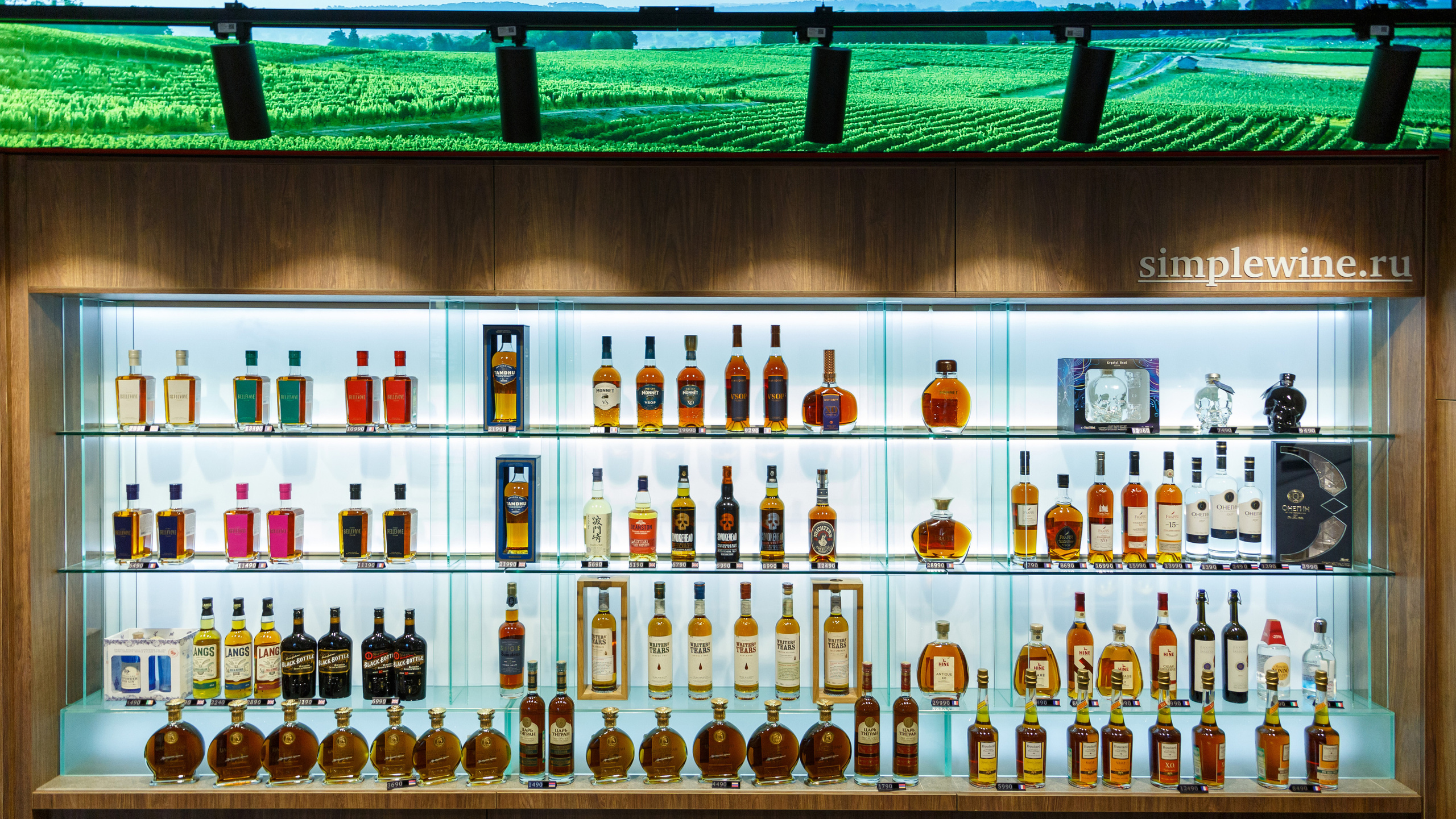 Портфолио. Контент. Визуал