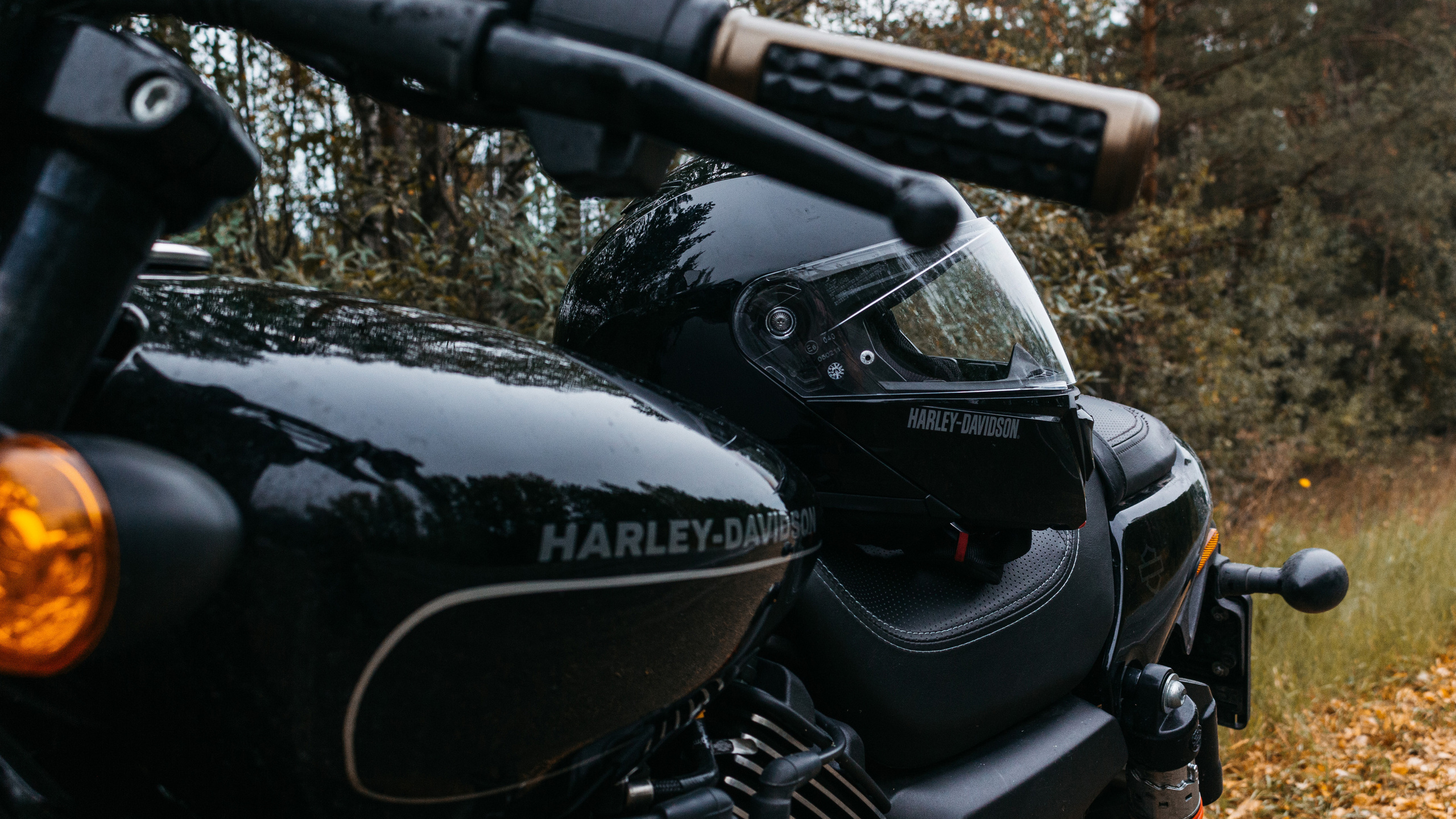 Портфолио. Контент. Визуал