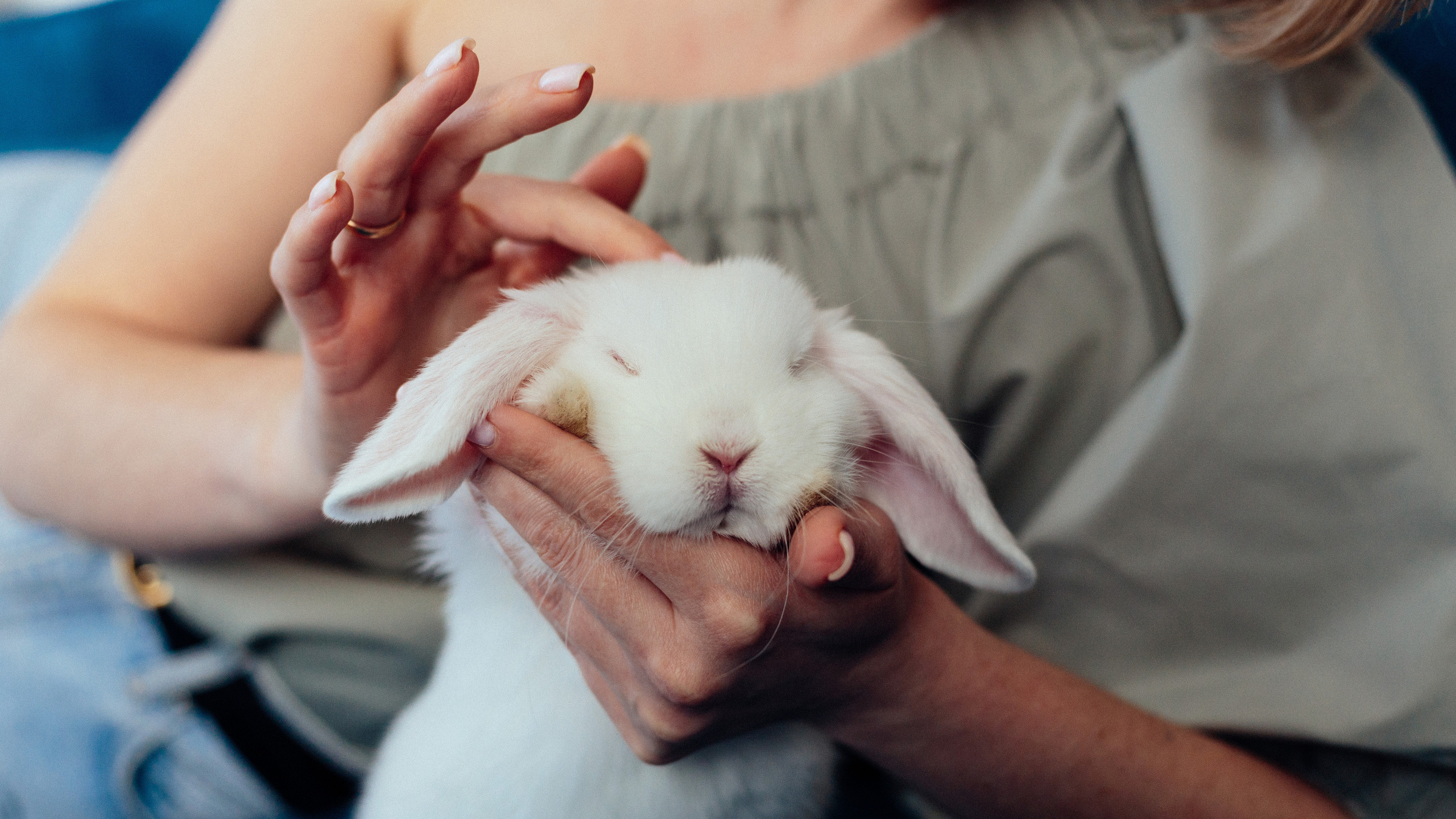 Портфолио. Контент. Визуал