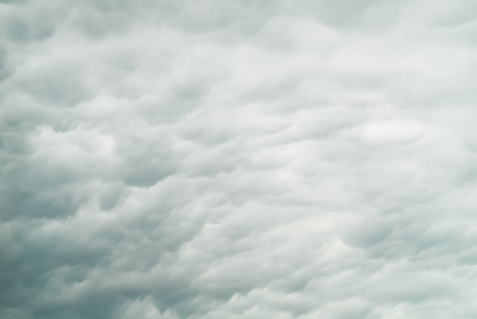 Formations. Пётр Антонов