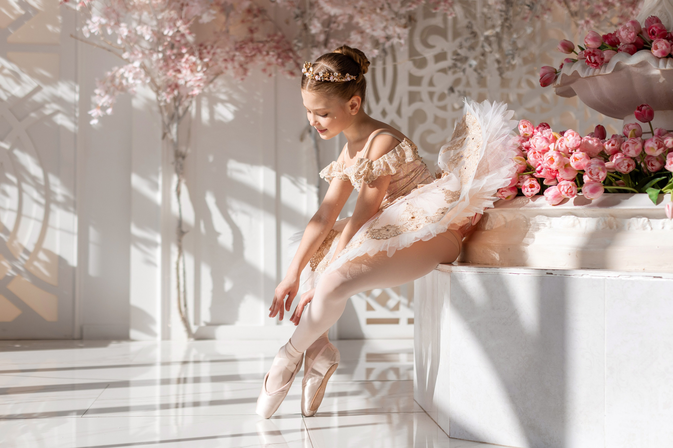 Балетная съёмка в интерьере. Балетный фотограф Алина Ханько — Душа Балета
