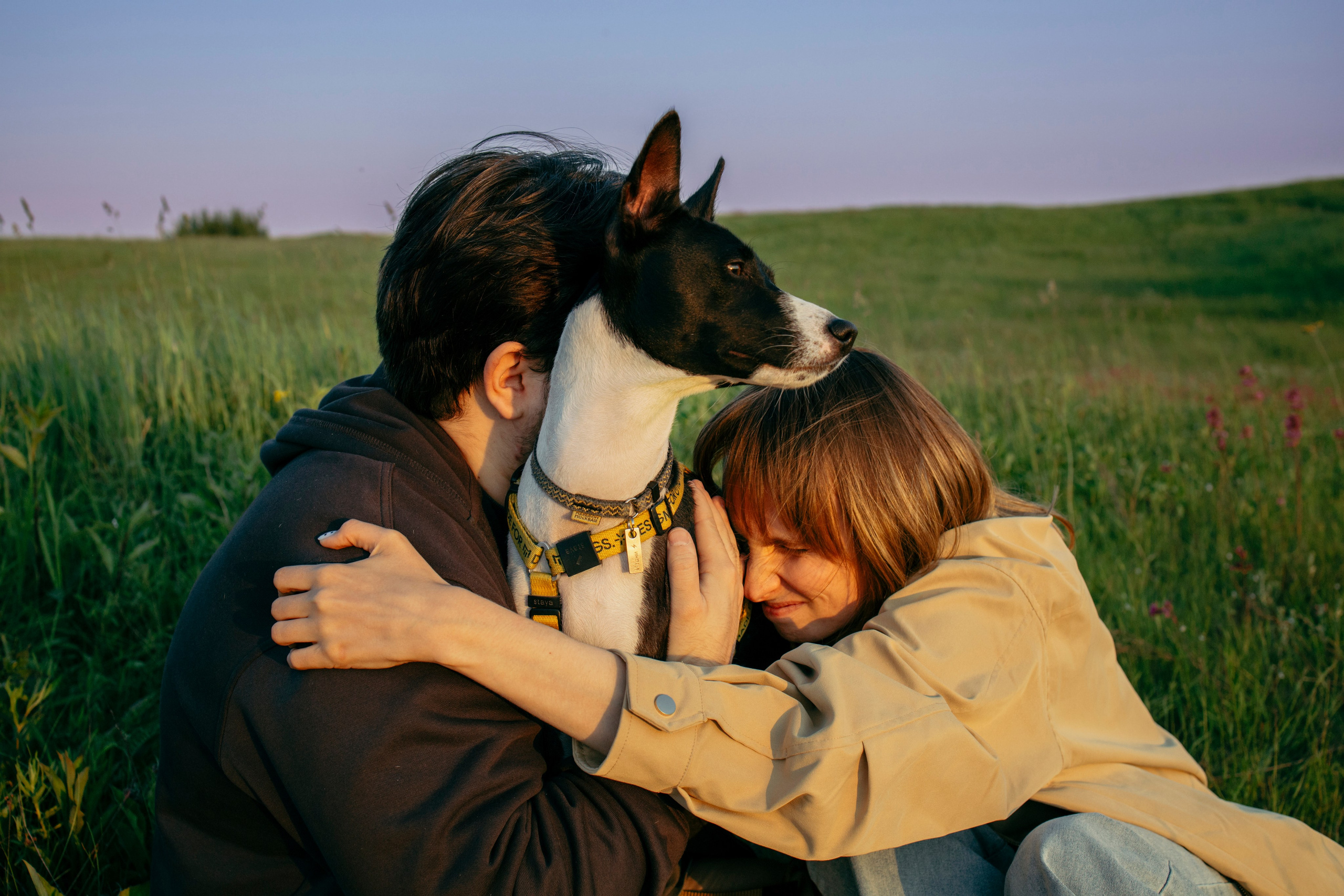 Итачи и его семья 🐾. Фотограф-анималист в Санкт-Петеребурге Титова Алиса