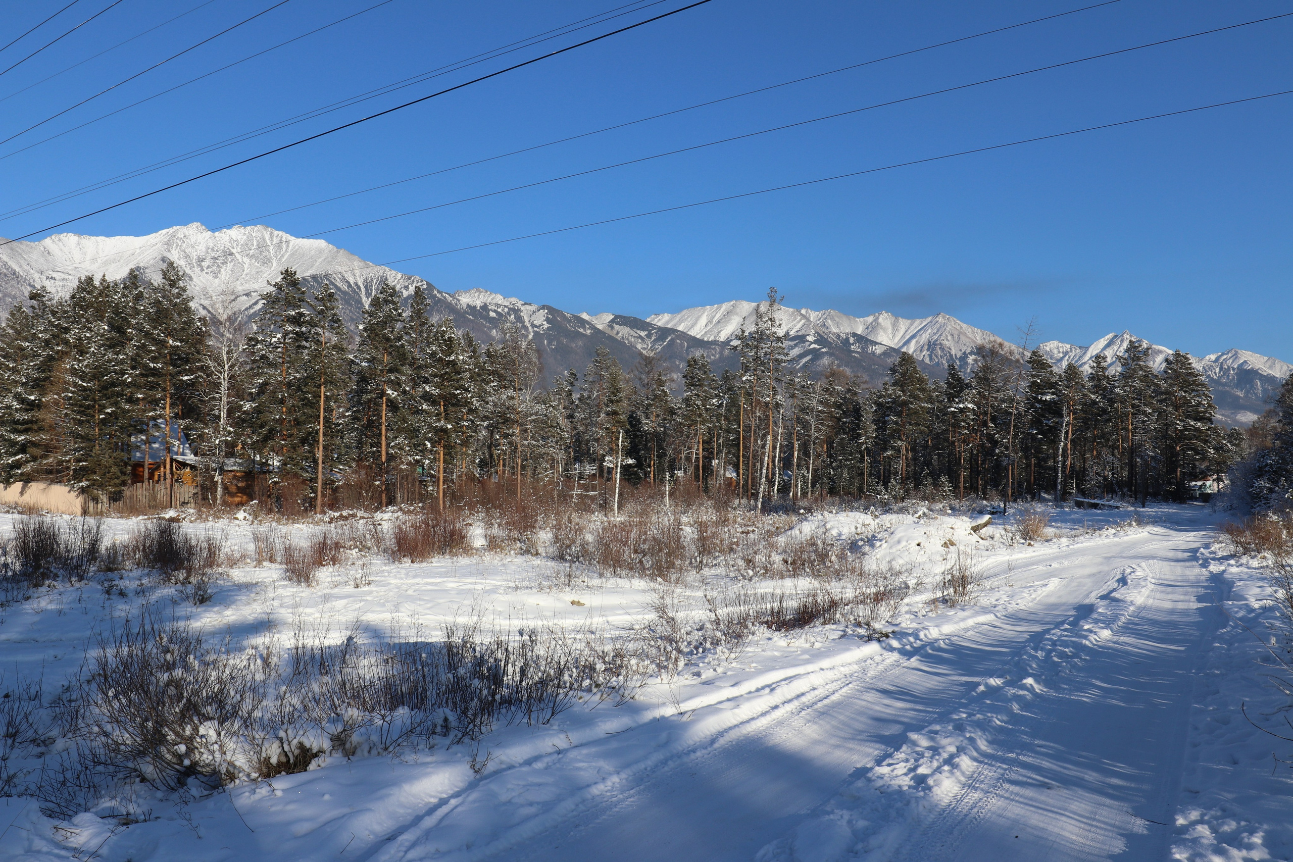 Аршан. Январь 2022. Путешественник-фотограф из Санкт-Петербурга Татьяна Свистулина