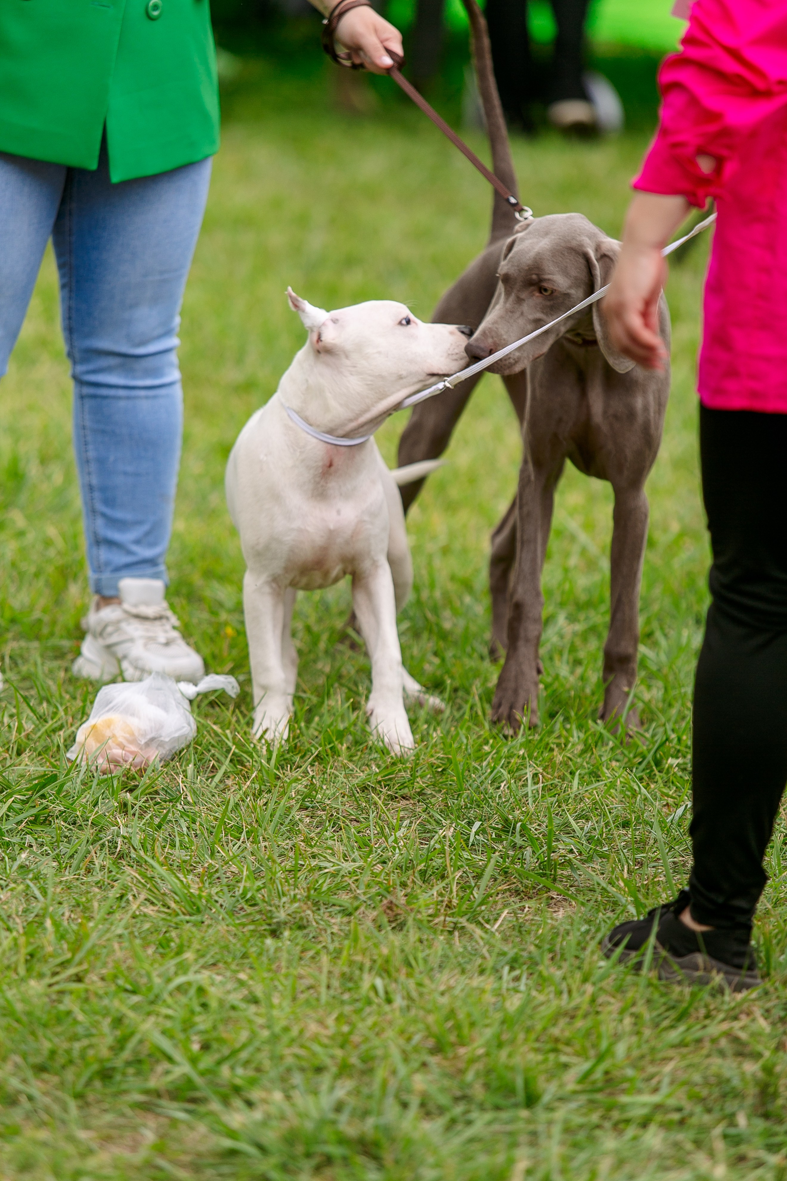 Окунулась вновь в атмосферу выставки…. Школьный фотограф в Туле Светлана Привезенцева