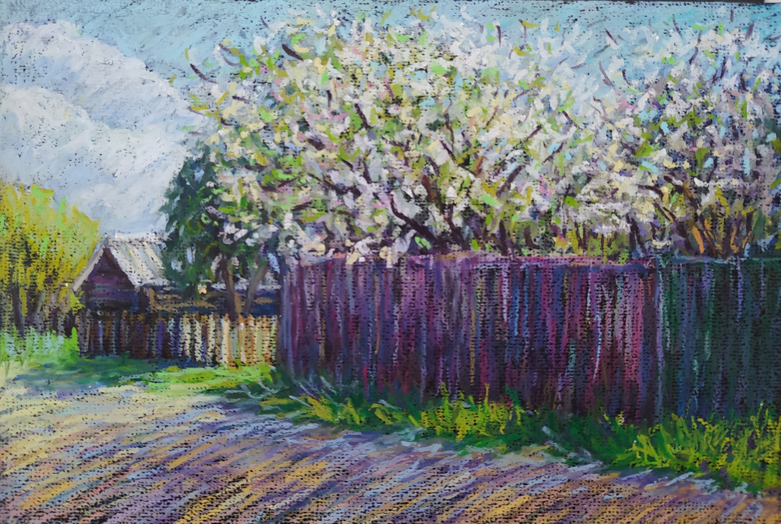 Пейзаж масляной пастелью, рисунок - Цветение вишен в садах