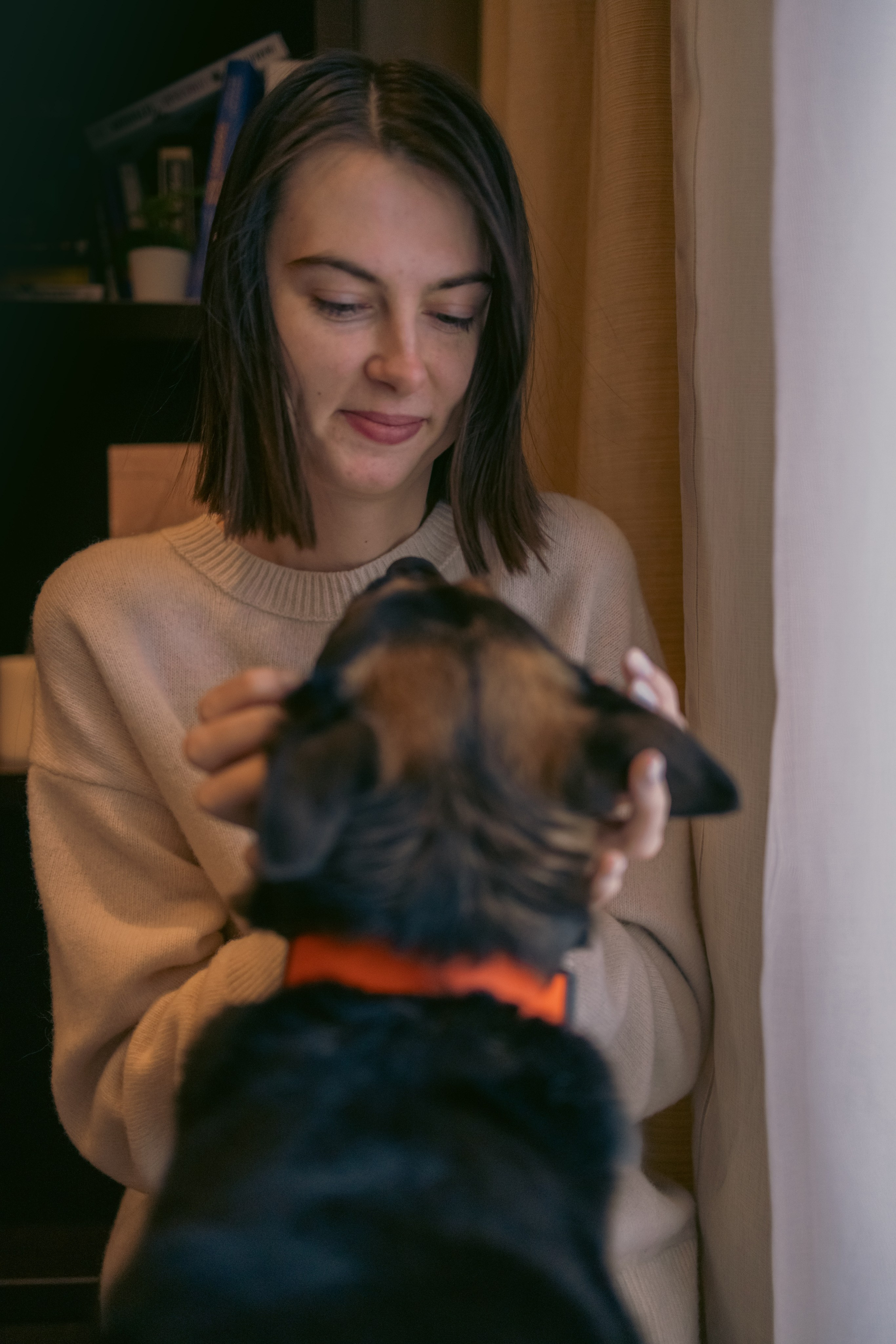 Ника, Матиша и Герда. Фотограф-анималист в Москве Лера Черноног