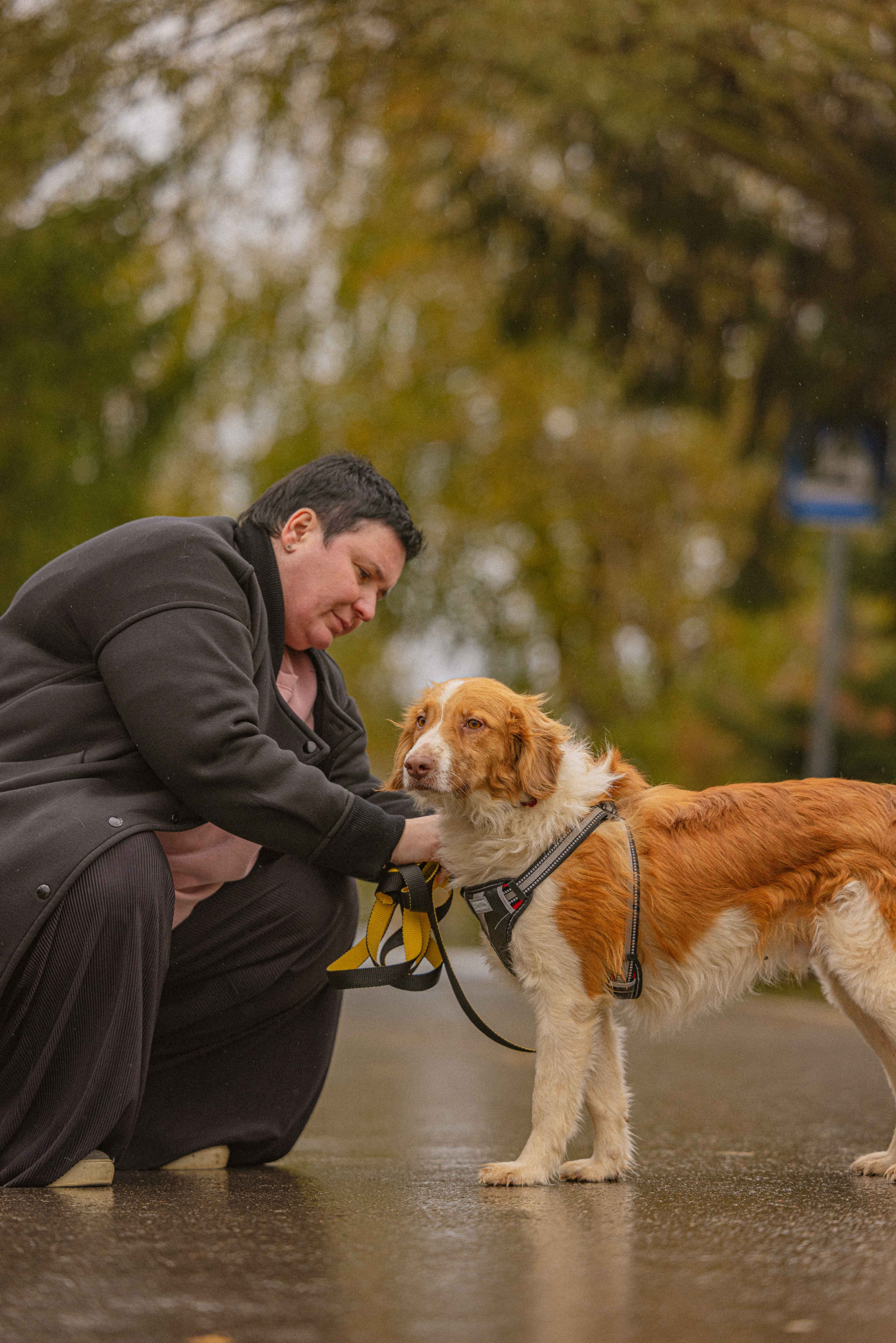 Передержка. Фотограф-анималист в Москве Лера Черноног