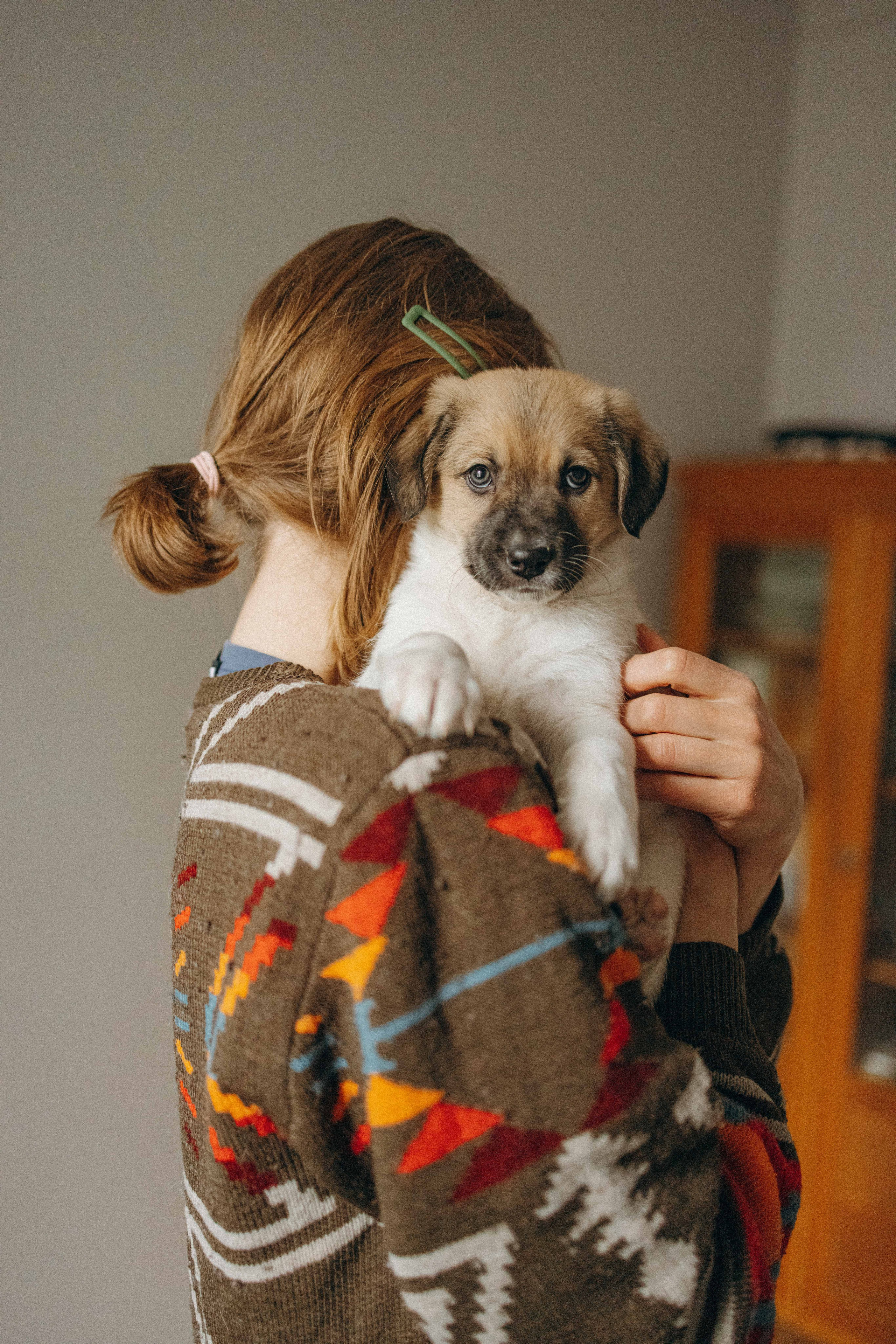 Щеночки. Фотограф-анималист в Москве Лера Черноног
