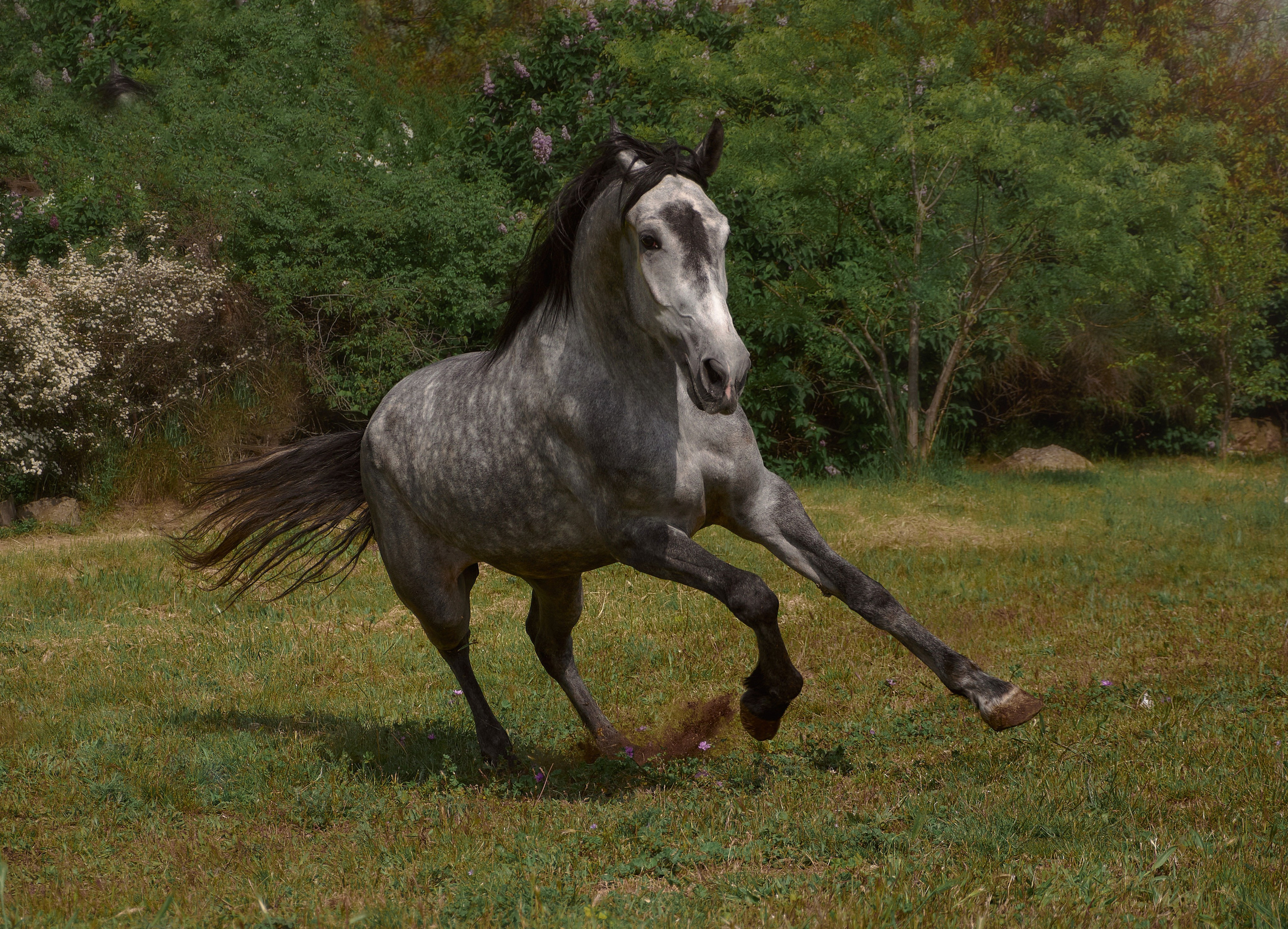 Глазурь. Фотограф в Севастополе