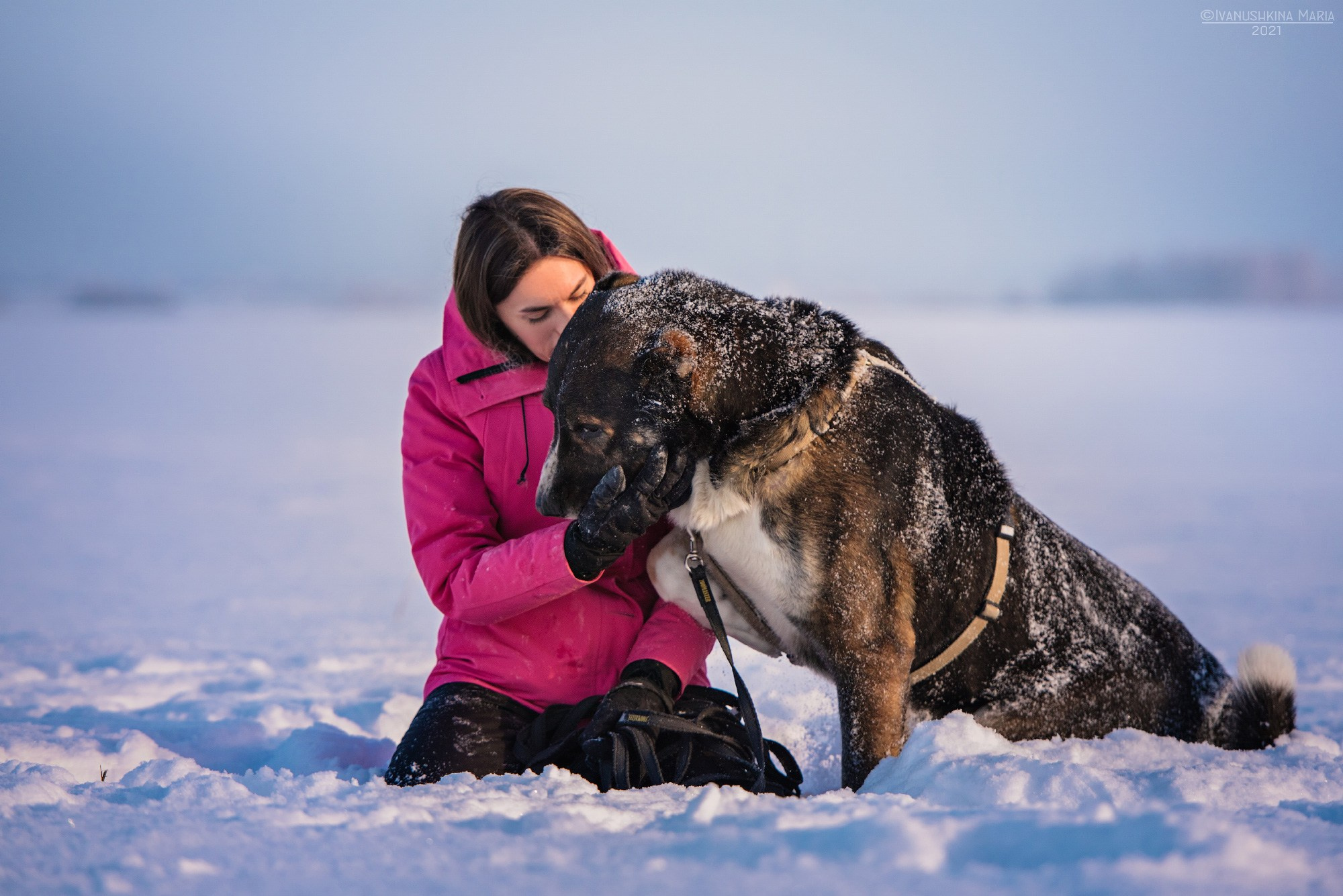 Фотосессия с собакой. Фотограф собак в Москве и Московской области Иванушкина Мария