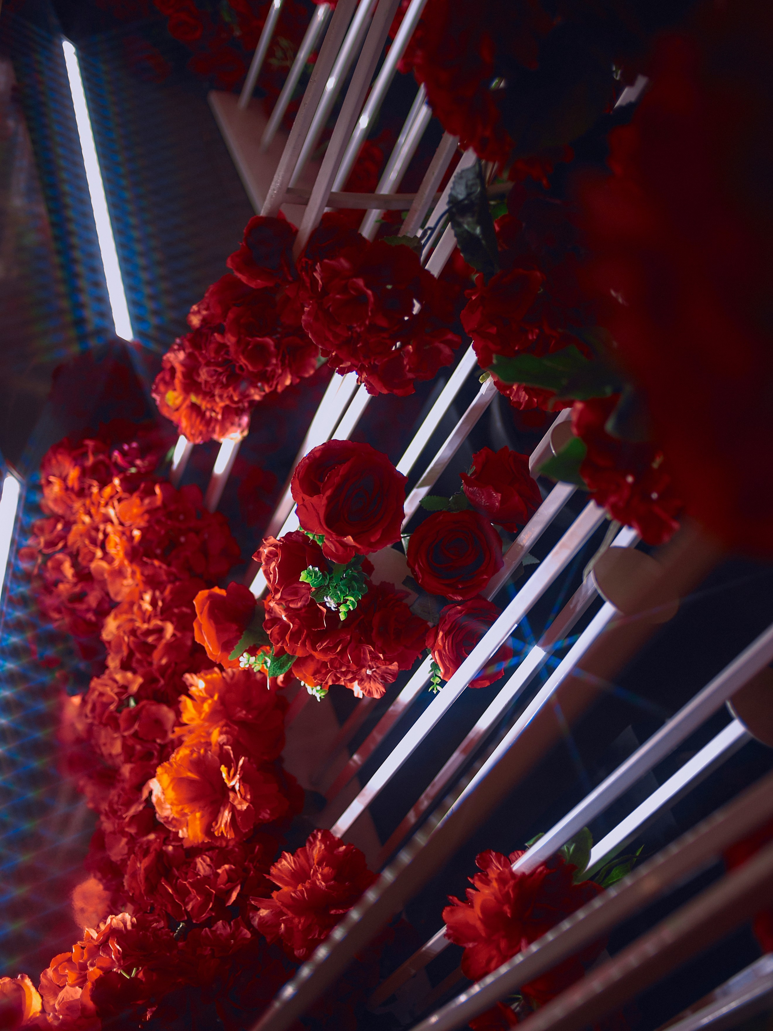 PORSCHE. Egor Plakhotin Photography