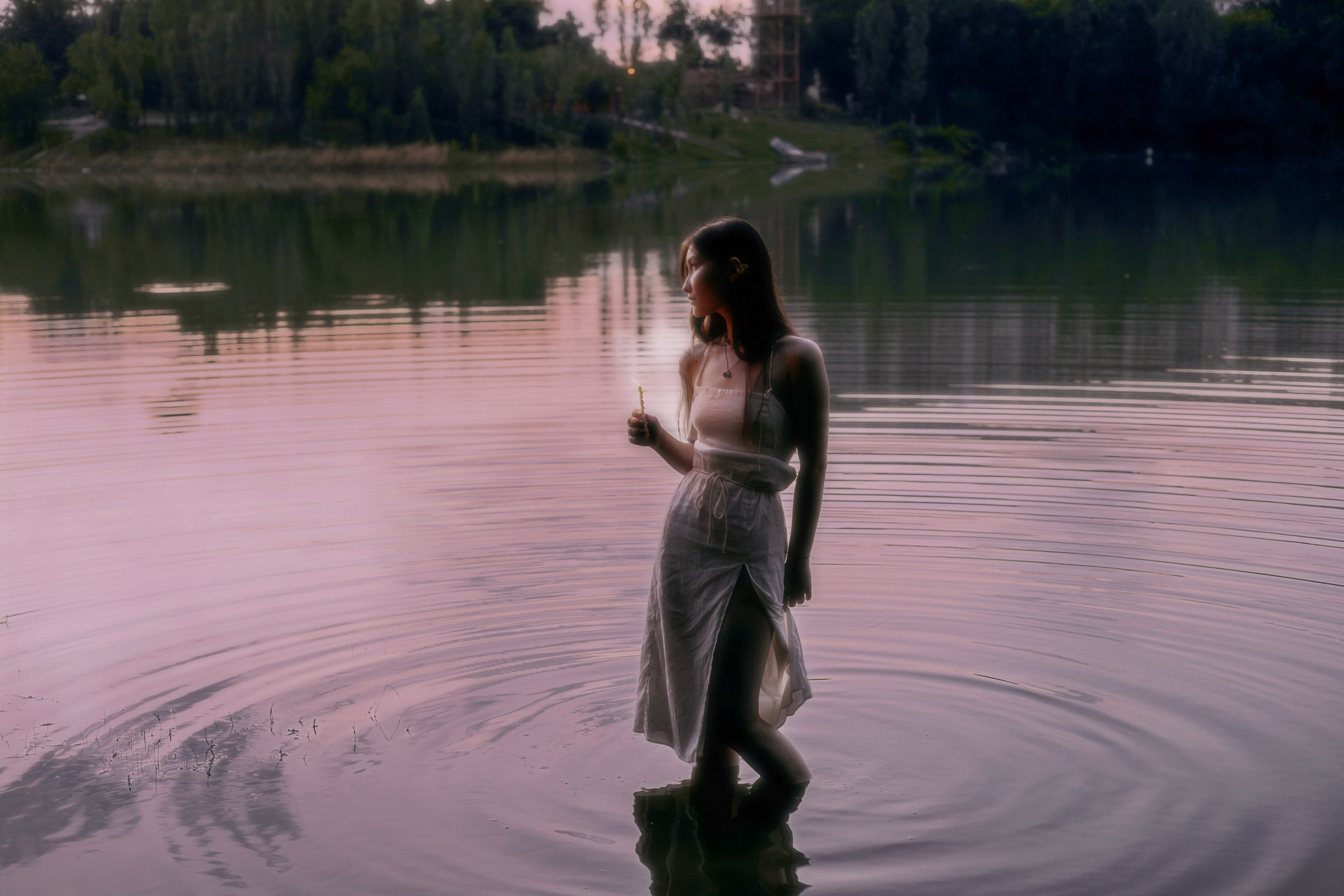 Norwegian wood. Фотограф Бишкек